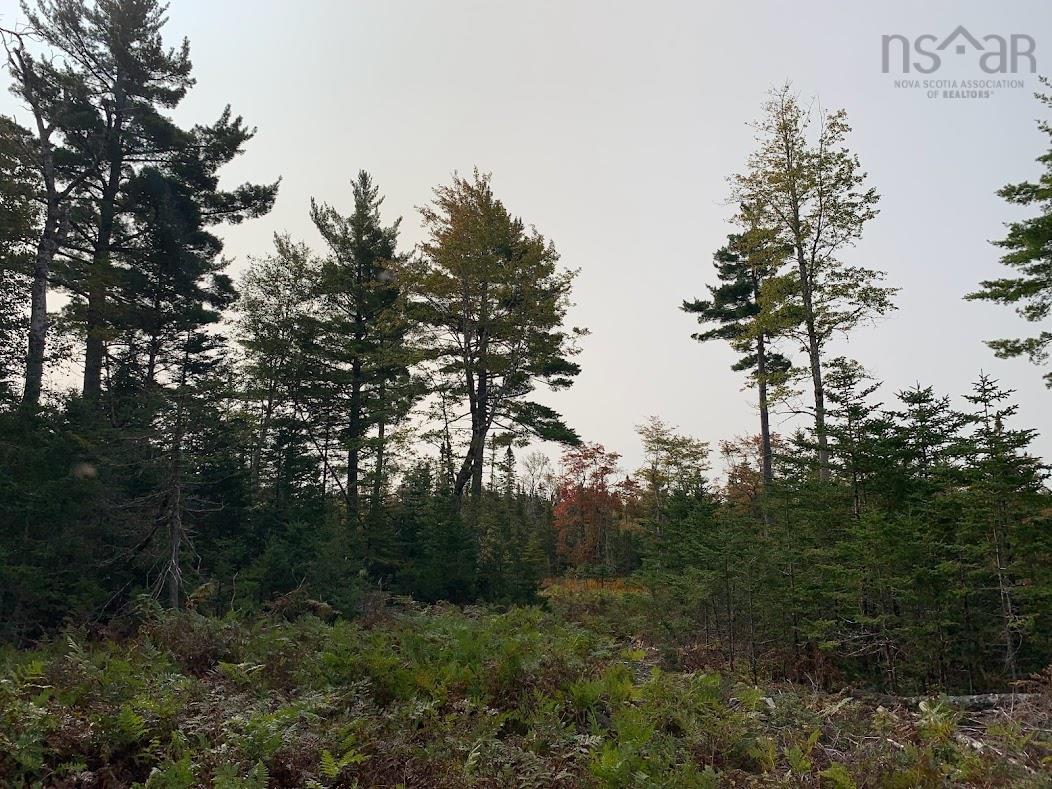 $55,000.00: Lot 1 Pleasant River Preserve, Pleasant River