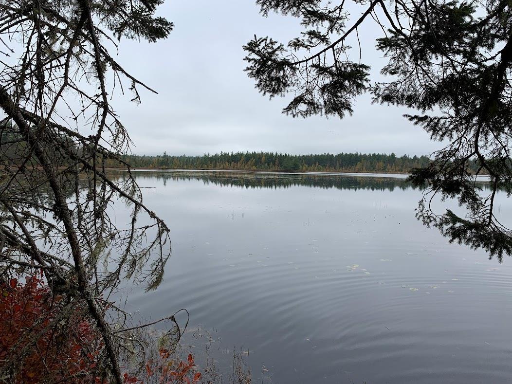 $55,000.00: Lot 1 Pleasant River Preserve, Pleasant River