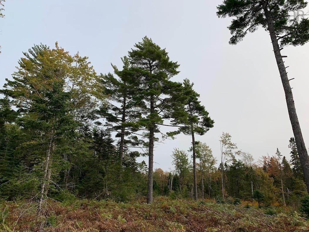 $55,000.00: Lot 1 Pleasant River Preserve, Pleasant River