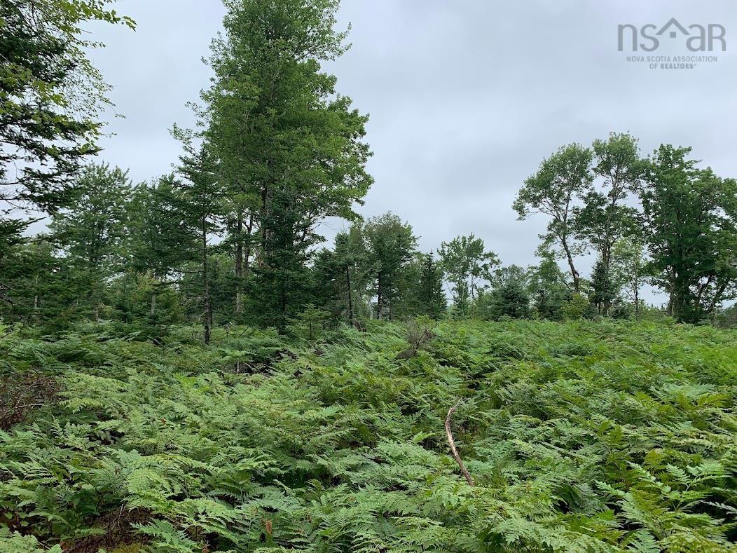 $55,000.00: Lot 1 Cabin Pleasant River Preserve, Pleasant River