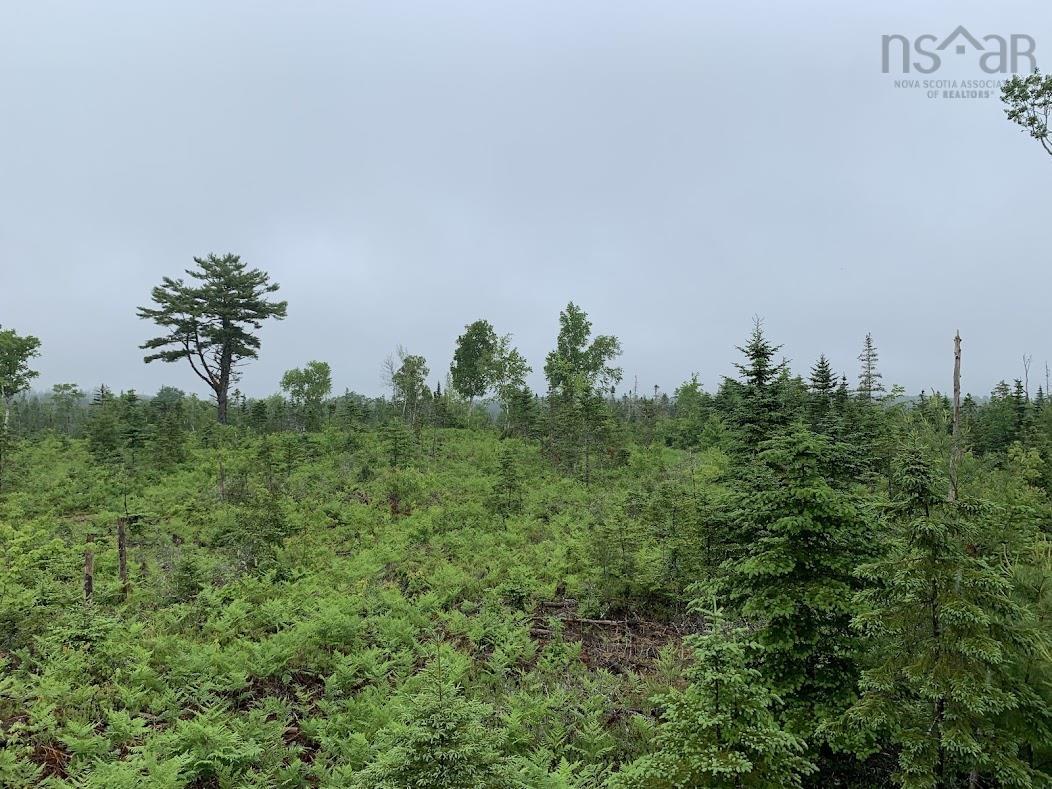 $55,000.00: Lot 1 Cabin Pleasant River Preserve, Pleasant River