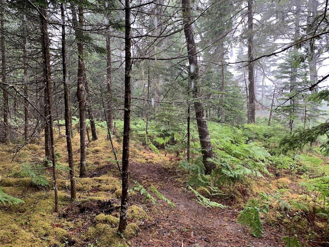 $55,000.00: Lot 1 Cabin Pleasant River Preserve, Pleasant River