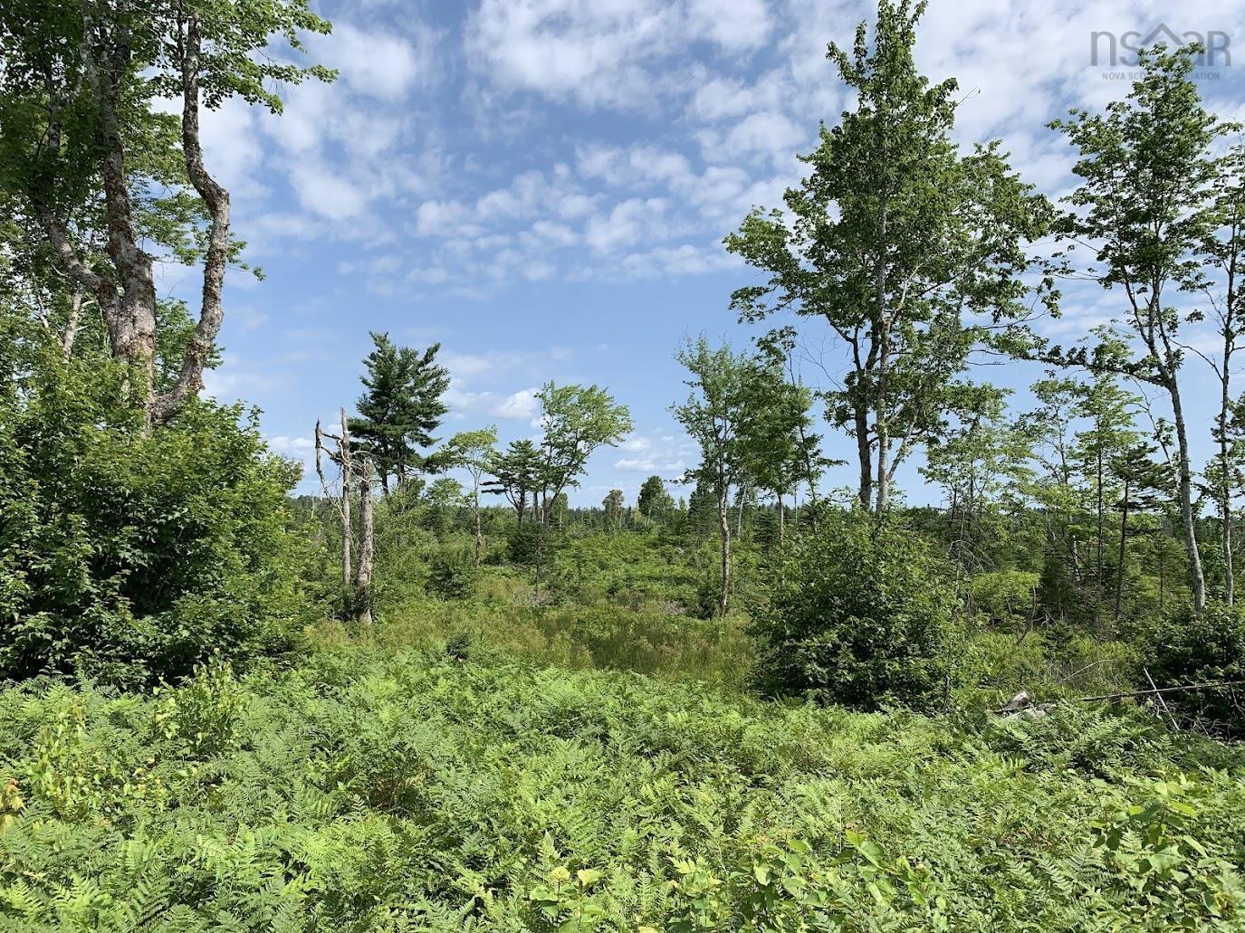 $55,000.00: Lot 1 Cabin Pleasant River Preserve, Pleasant River
