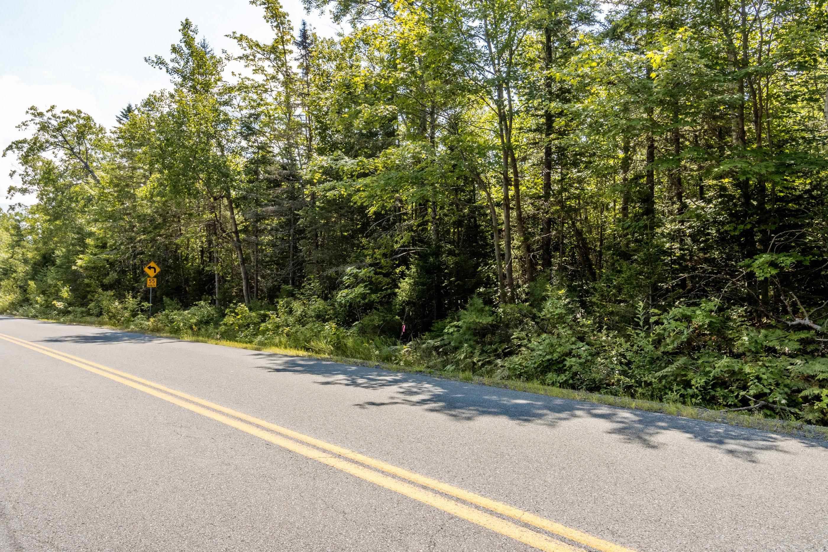 Lot 5 Aylesford Road, Morristown, NS (MLS® 202421066) | Morristown Real Estate | RE/MAX Halifax