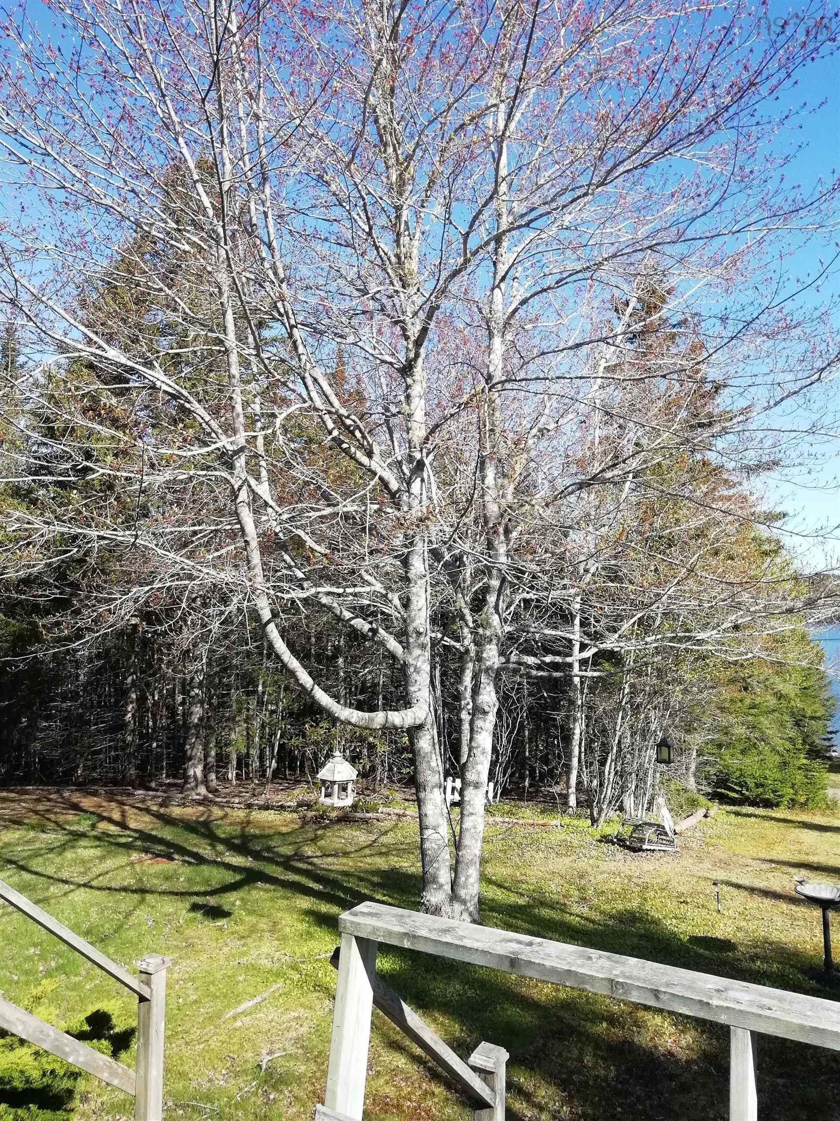 $249,000.00: 97 MacIntosh Road, Guysborough County