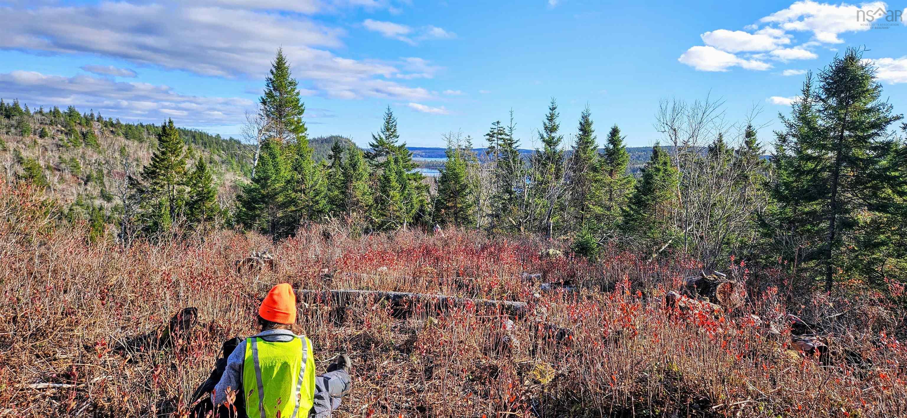 Grant 21937 Soles Stillwater, East Chezzetcook, NS (MLS 202422767)