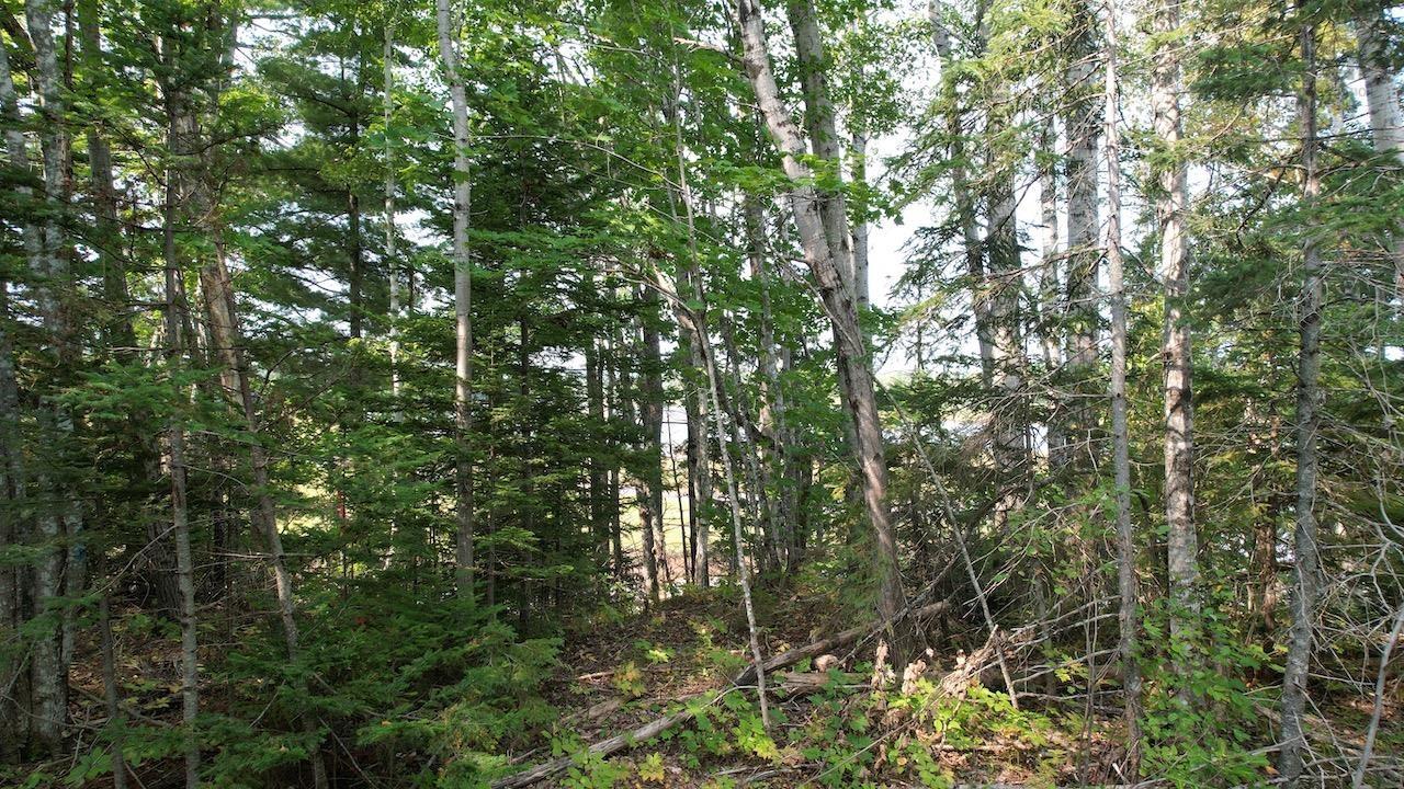 $110,975.00: 24-4 Highway 321 Highway, Roslin