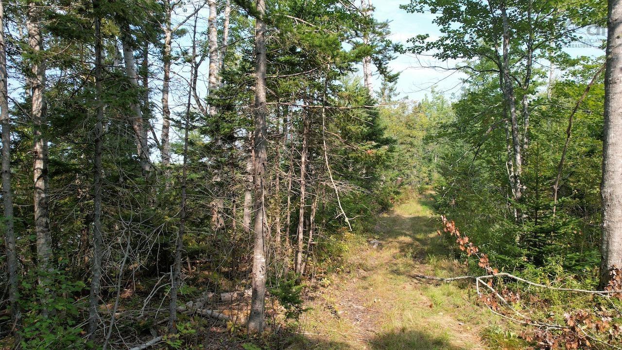 $110,975.00: 24-1 Highway 321 Highway, Roslin