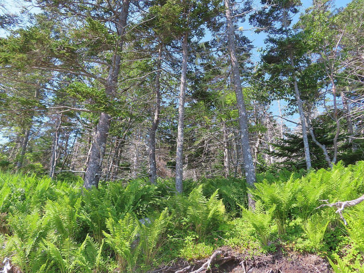 $120,000.00: Lot 10 Hwy 316 (Grovers Point), Cole Harbour