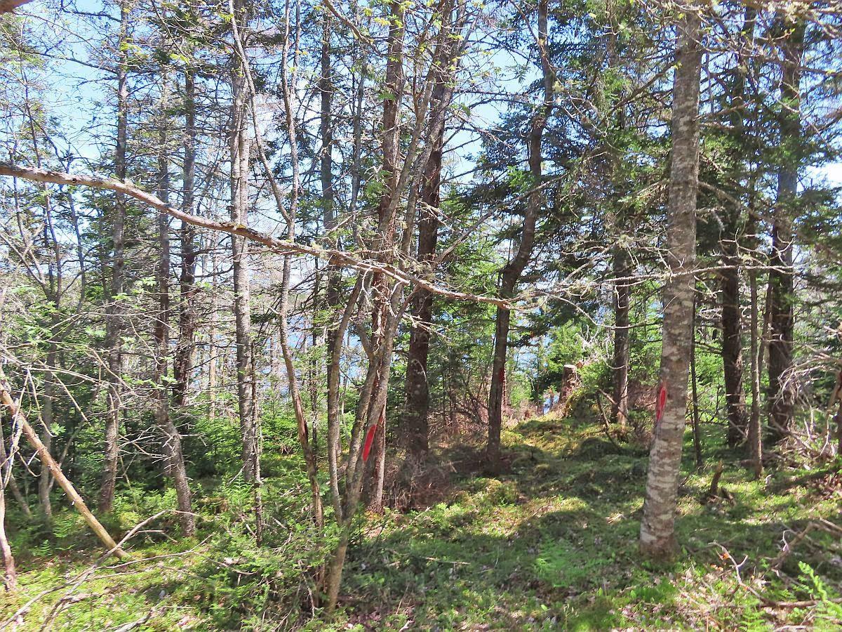$120,000.00: Lot 10 Hwy 316 (Grovers Point), Cole Harbour