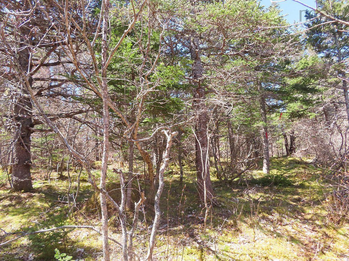 $120,000.00: Lot 10 Hwy 316 (Grovers Point), Cole Harbour