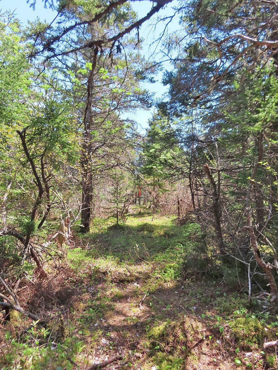 $120,000.00: Lot 10 Hwy 316 (Grovers Point), Cole Harbour