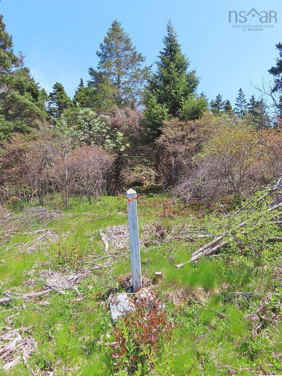 $120,000.00: Lot 10 Hwy 316 (Grovers Point), Cole Harbour