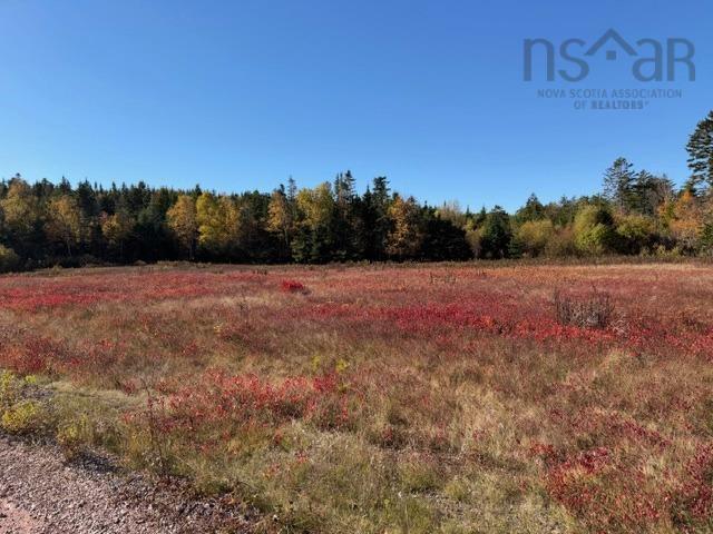 100 Acres Spencers Beach (Hwy 209) Road, Spencers Island, NS (MLS® 202502038)