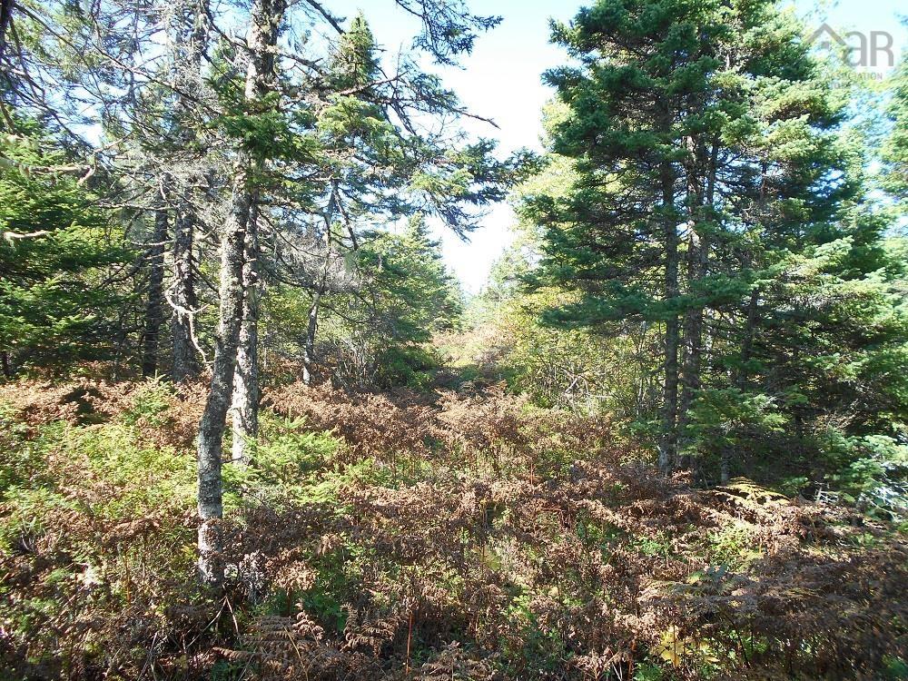 Lot 2 Shad Bay, Shad Bay, NS (MLS 202502423)