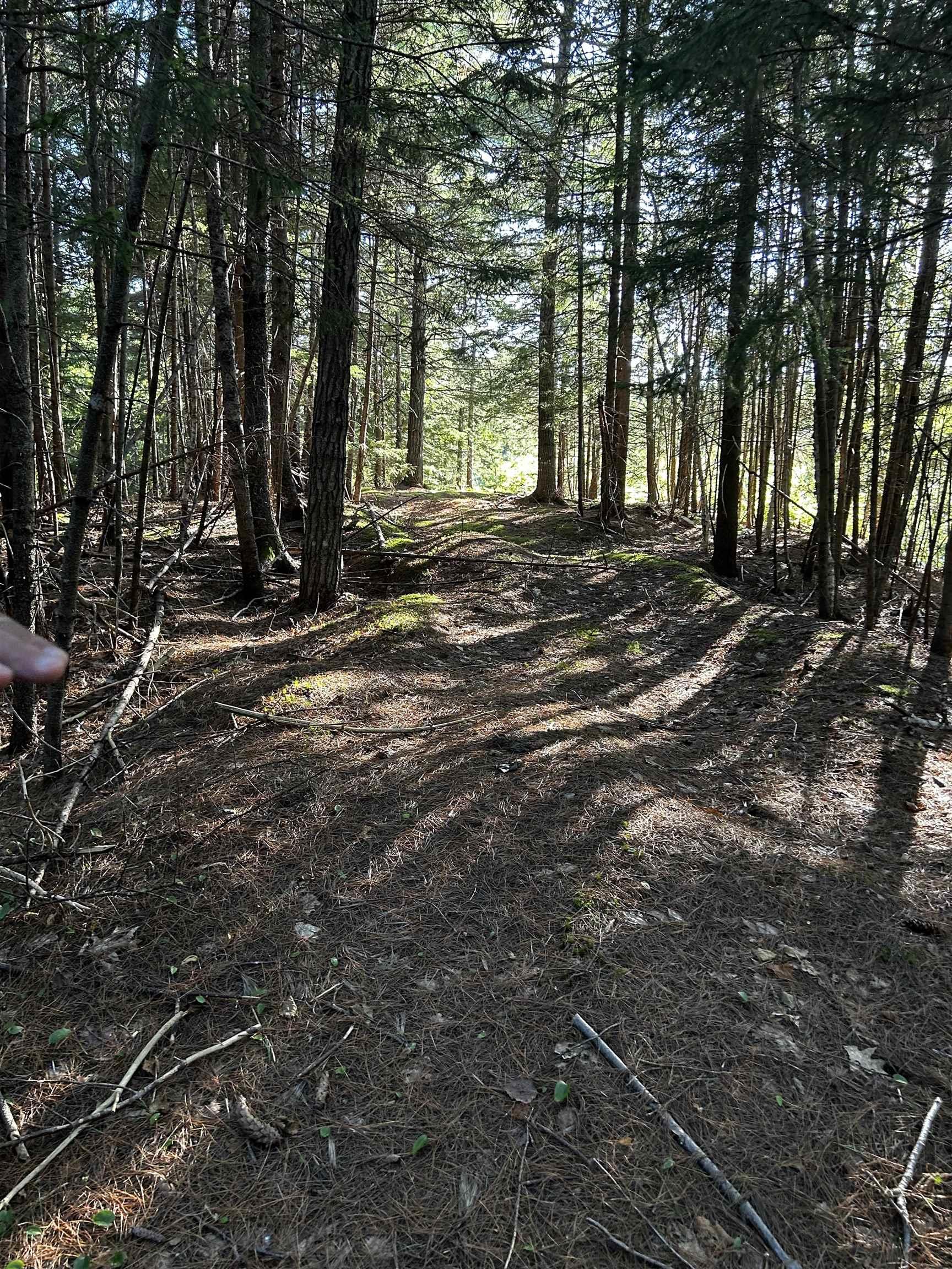 Unit 3 Forsythe Road South Road, White Rock, NS (MLS® 202502883) | White Rock Real Estate | RE/MAX Halifax