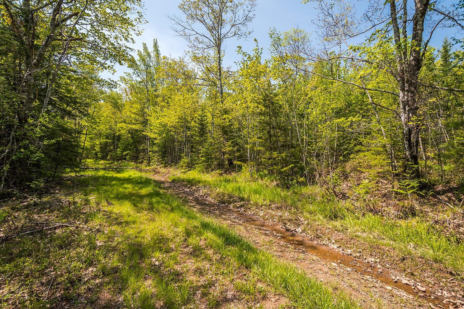 $2,778,000.00: Lot 1 Old Post Road, Enfield