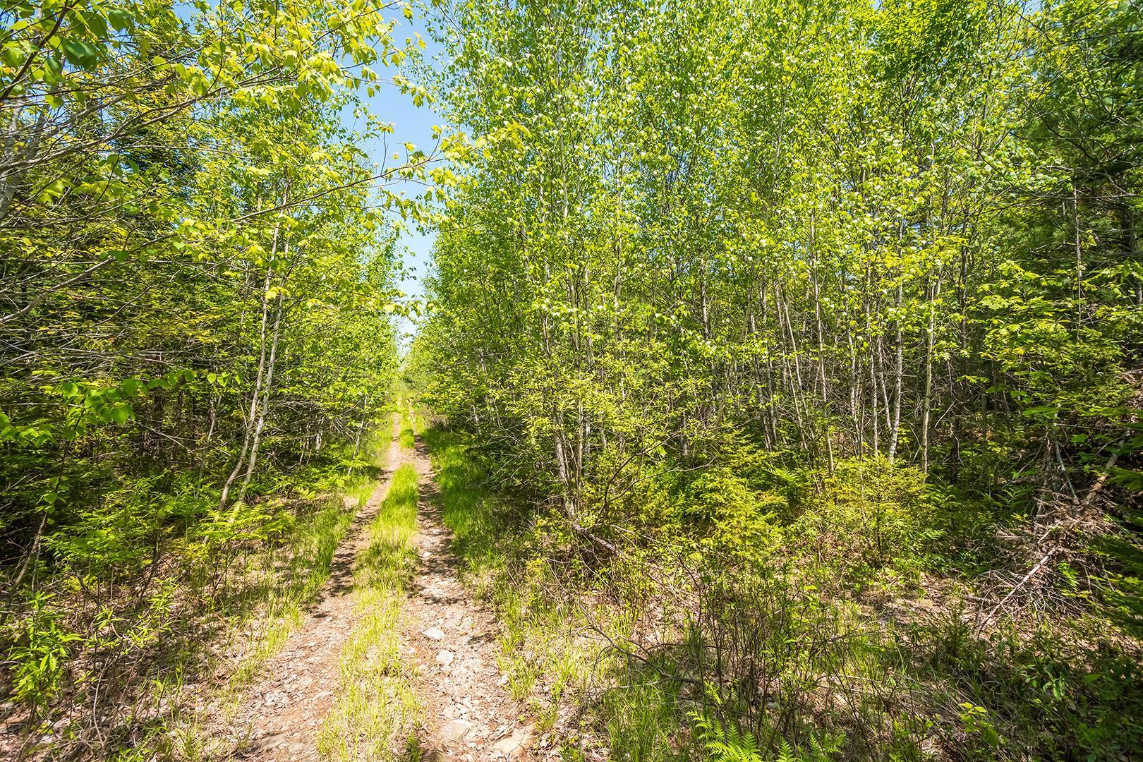 $2,778,000.00: Lot 1 Old Post Road, Enfield