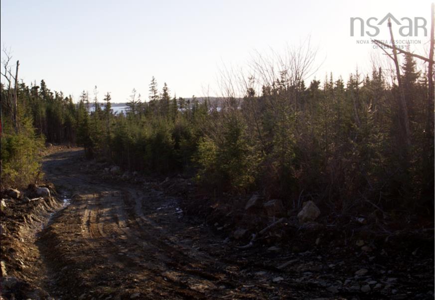 819 West Lawrencetown Road, Lawrencetown, NS (MLS 202506564)