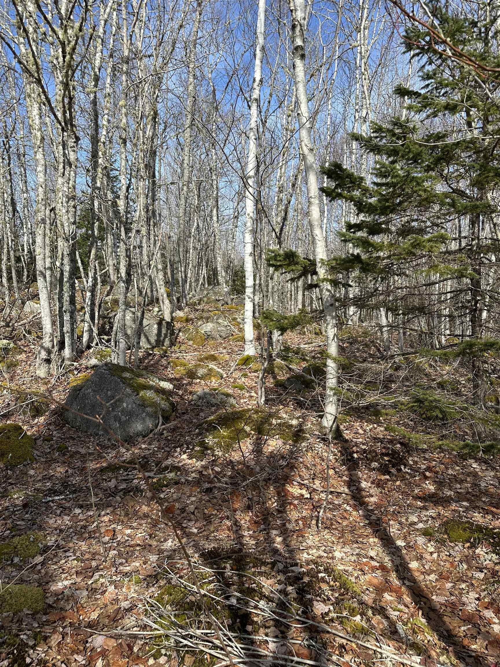 Lot 7 North River Road, Aylesford Lake, NS (MLS® 202506890) | Aylesford Lake Real Estate | RE/MAX Halifax