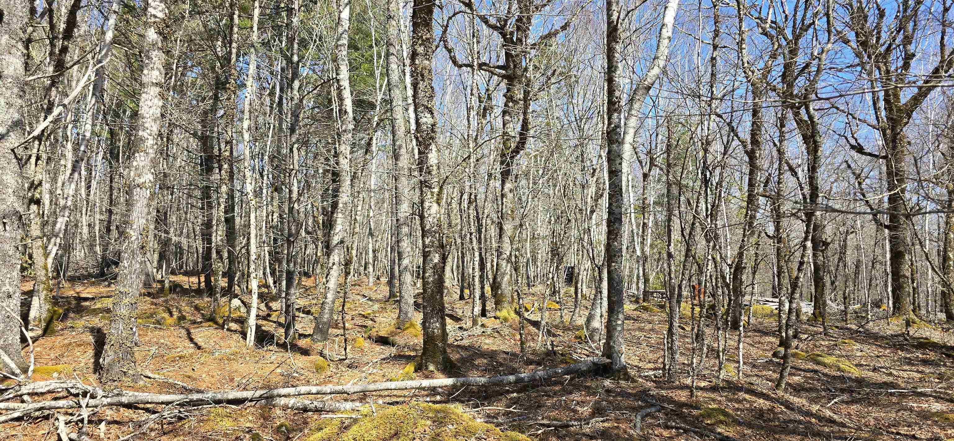 $29,900.00: 69 Sparkling Spring Lane, Labelle