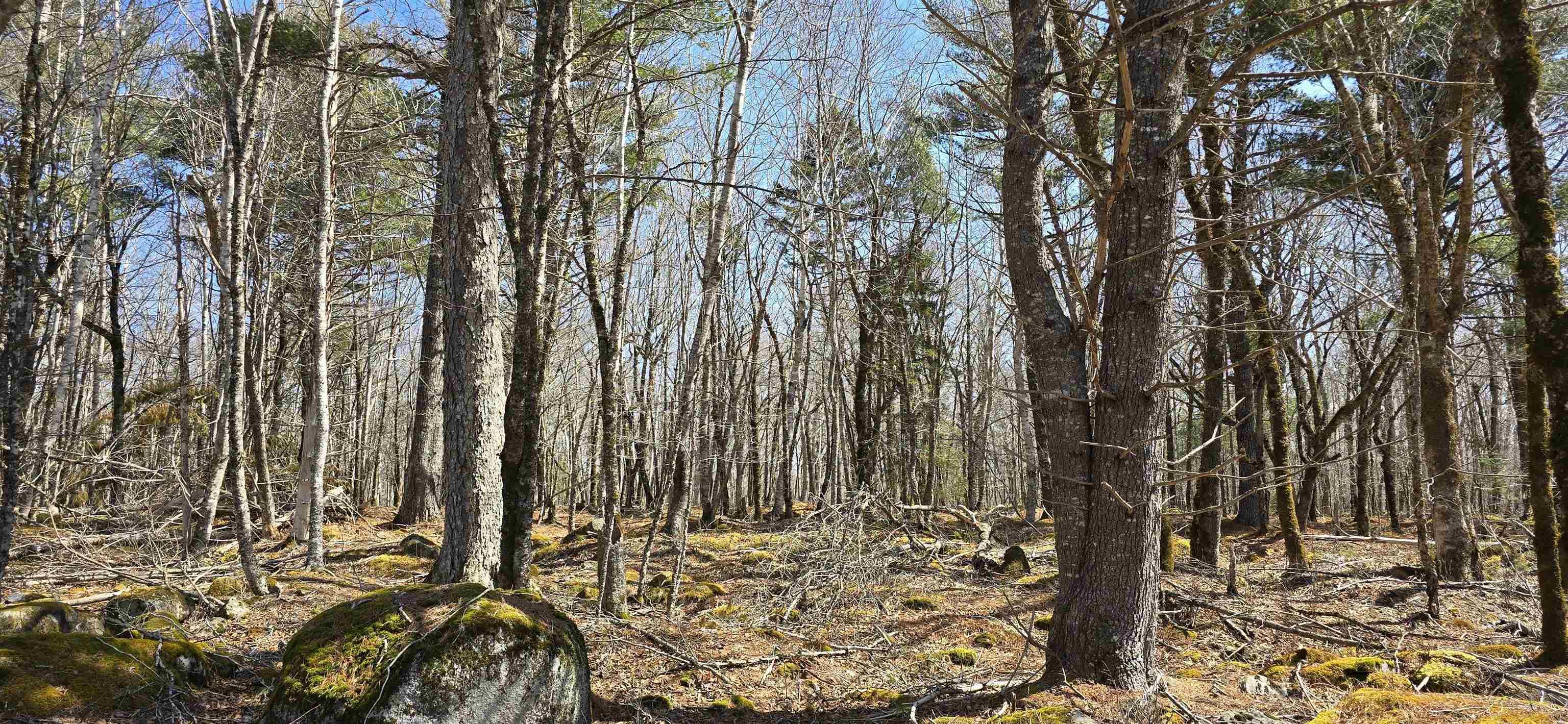 $29,900.00: 69 Sparkling Spring Lane, Labelle
