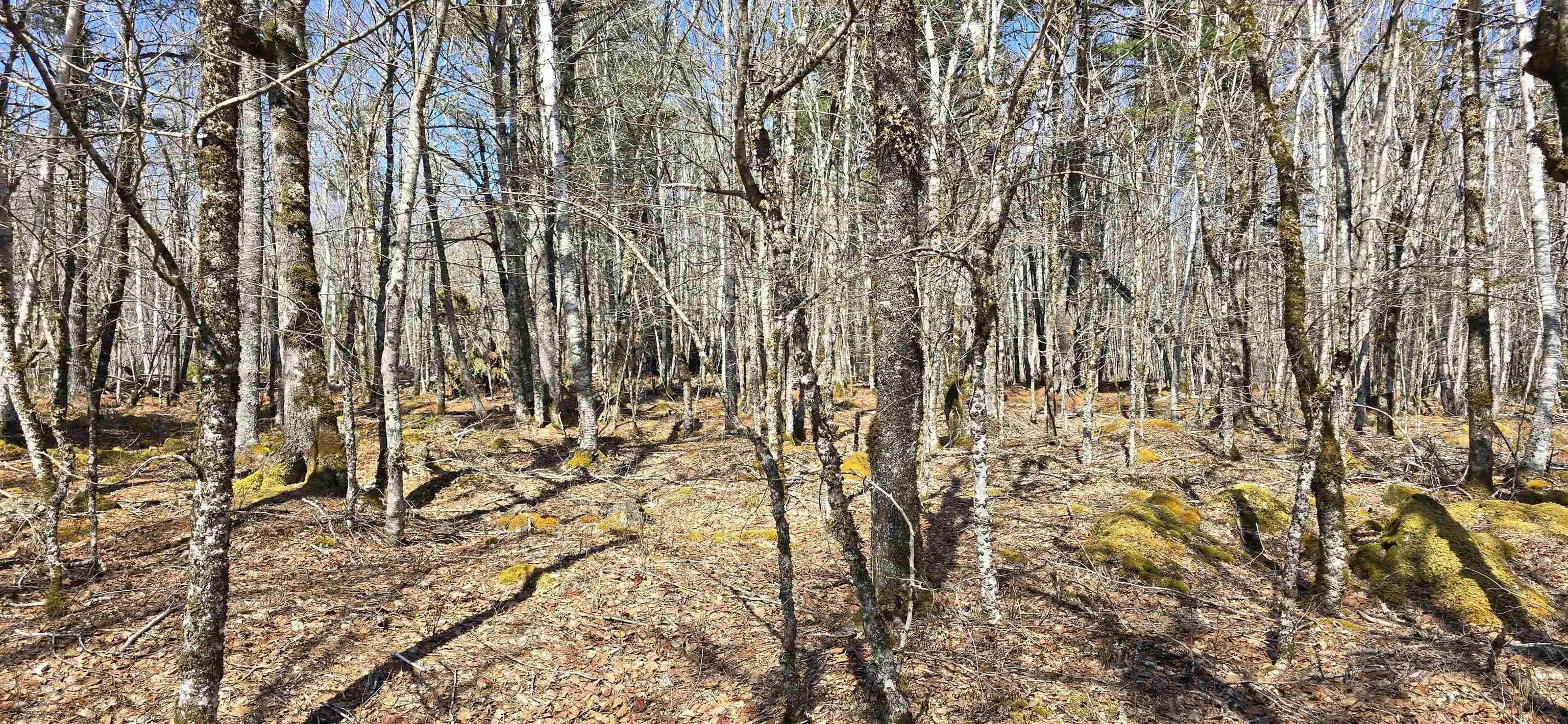$29,900.00: 69 Sparkling Spring Lane, Labelle
