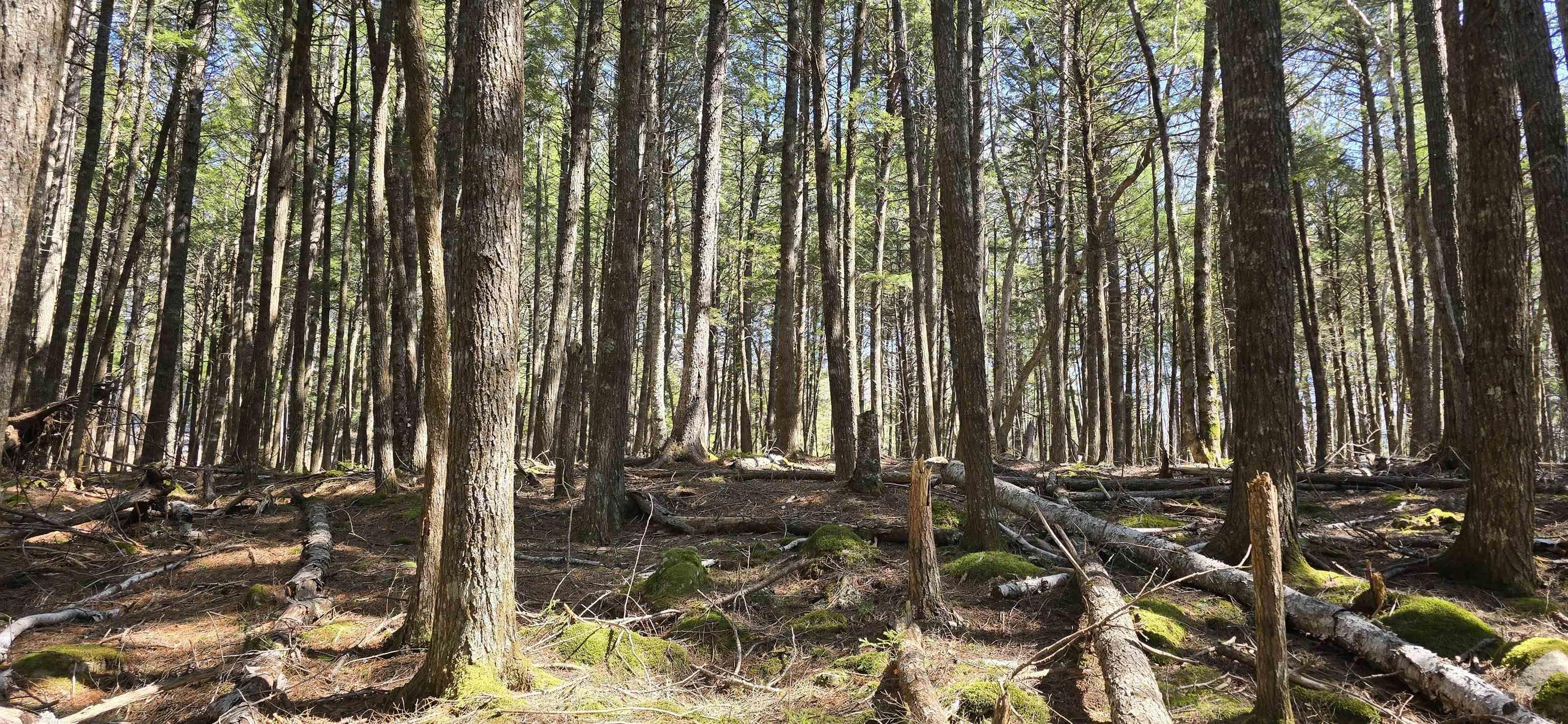 $17,900.00: Lot 3 Beaver Row, Labelle