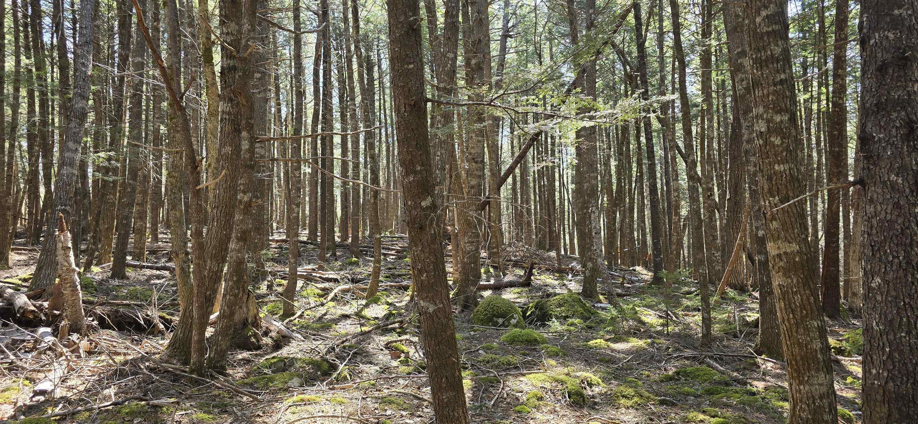 $17,900.00: Lot 3 Beaver Row, Labelle