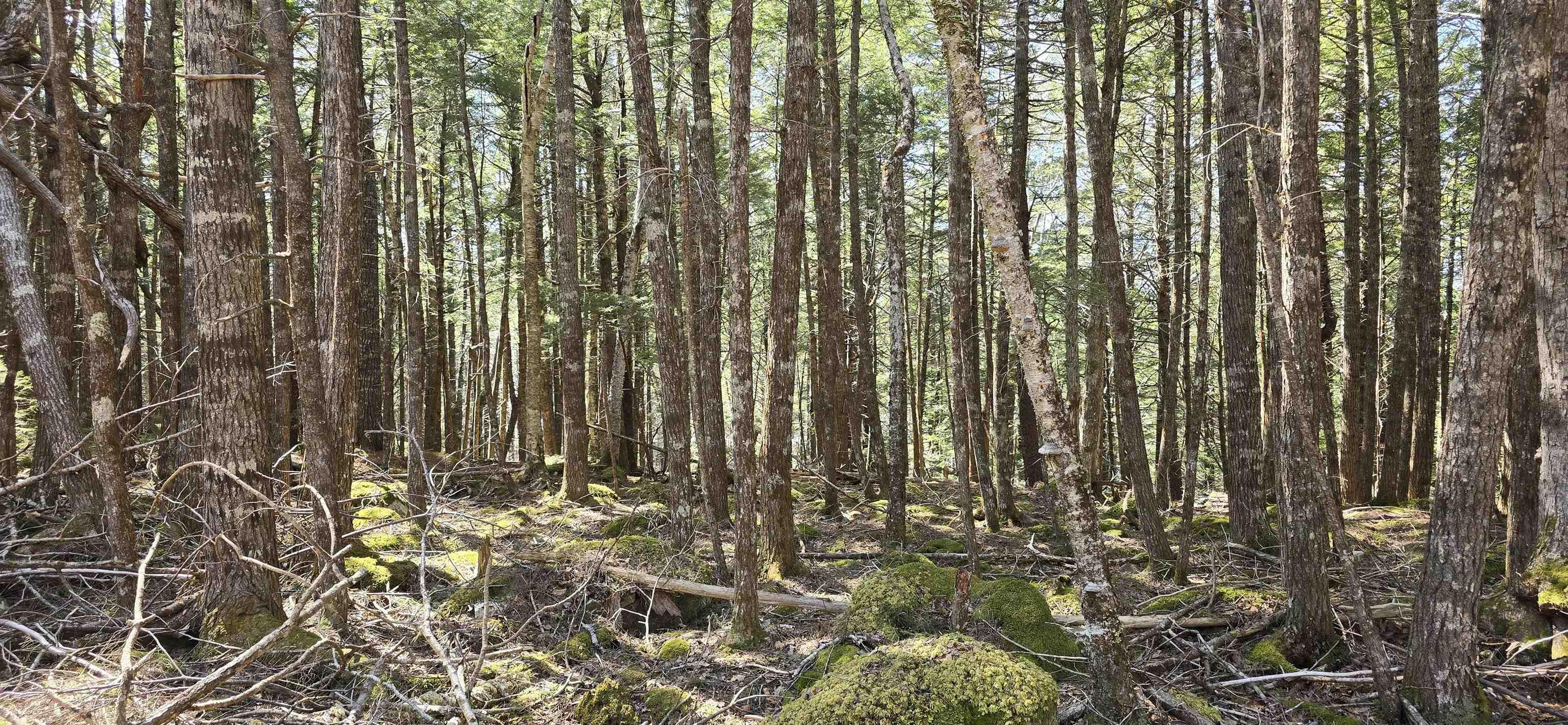 $17,900.00: Lot 3 Beaver Row, Labelle
