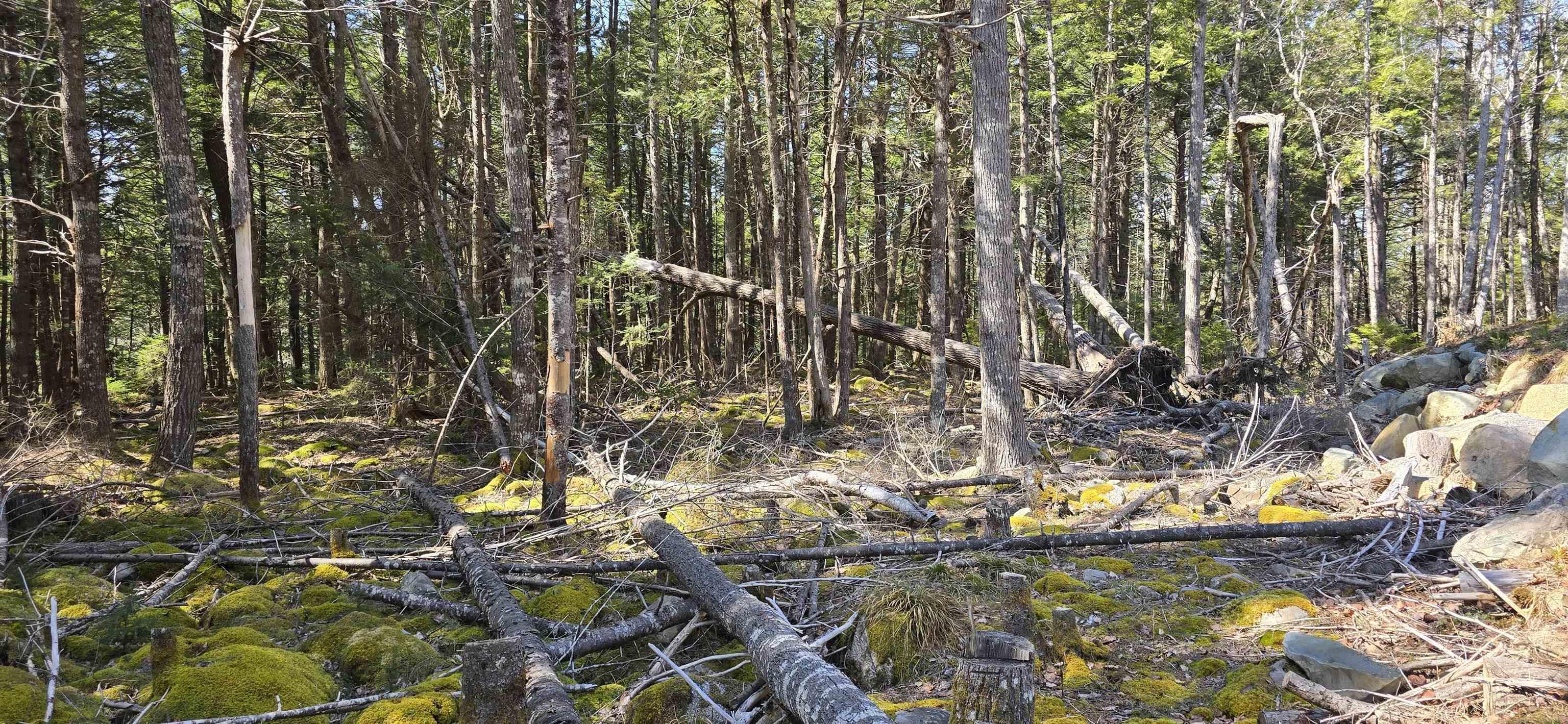 $17,900.00: Lot 3 Beaver Row, Labelle