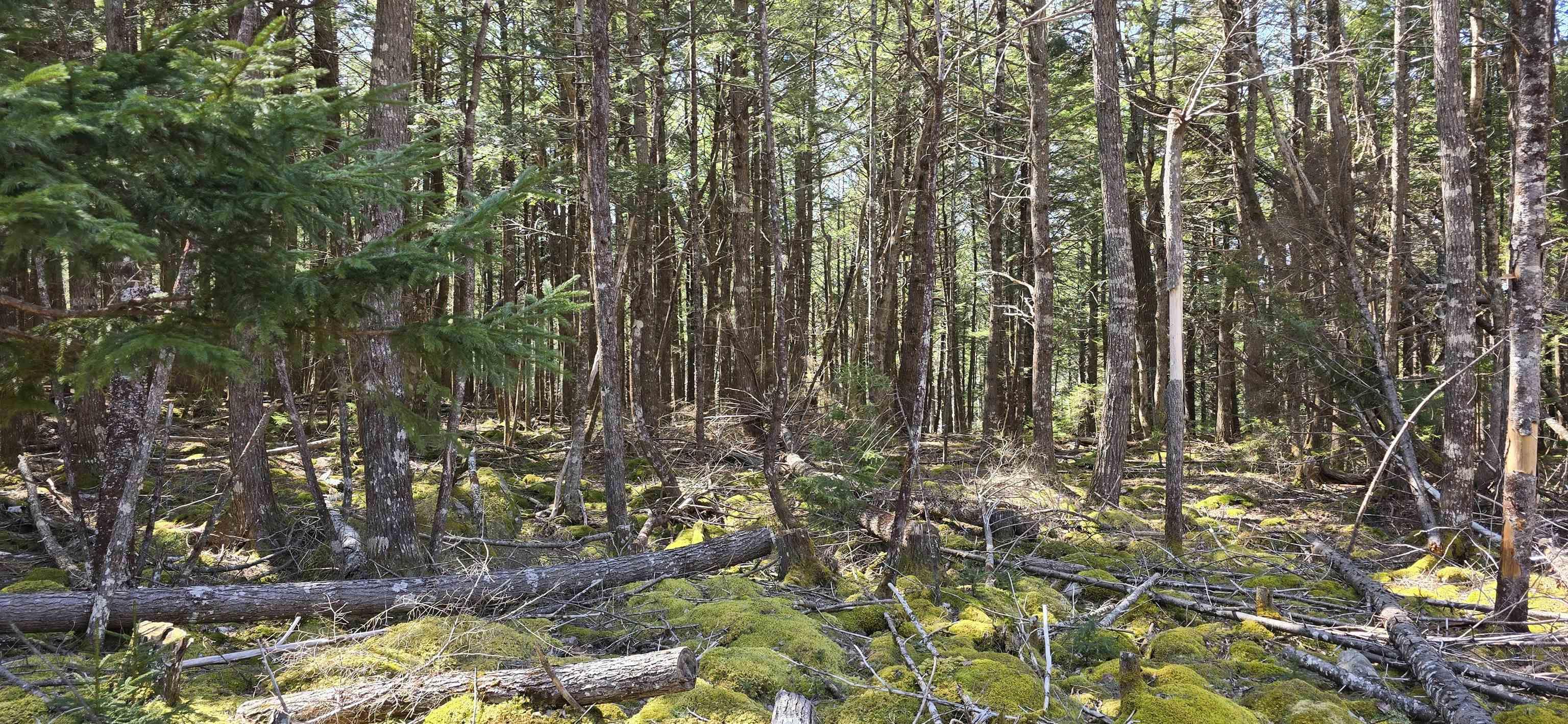 $17,900.00: Lot 3 Beaver Row, Labelle