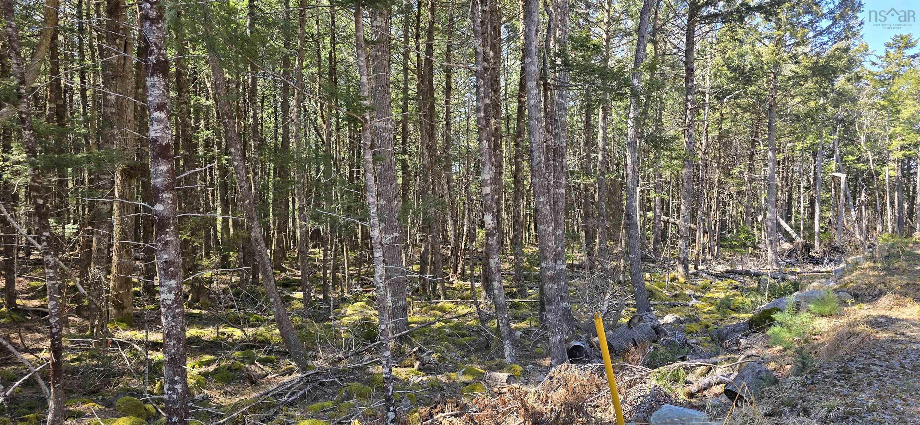 $17,900.00: Lot 3 Beaver Row, Labelle