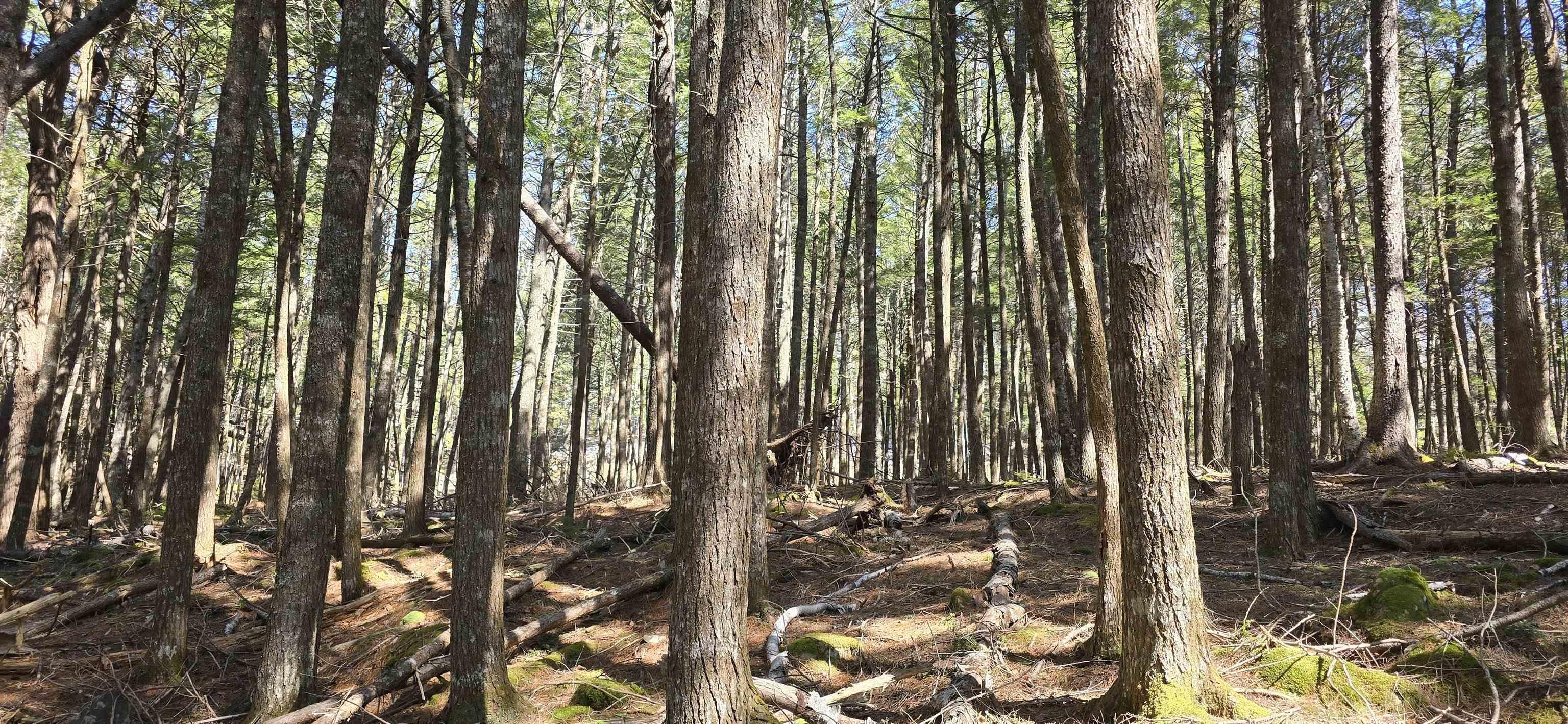 $17,900.00: Lot 3 Beaver Row, Labelle
