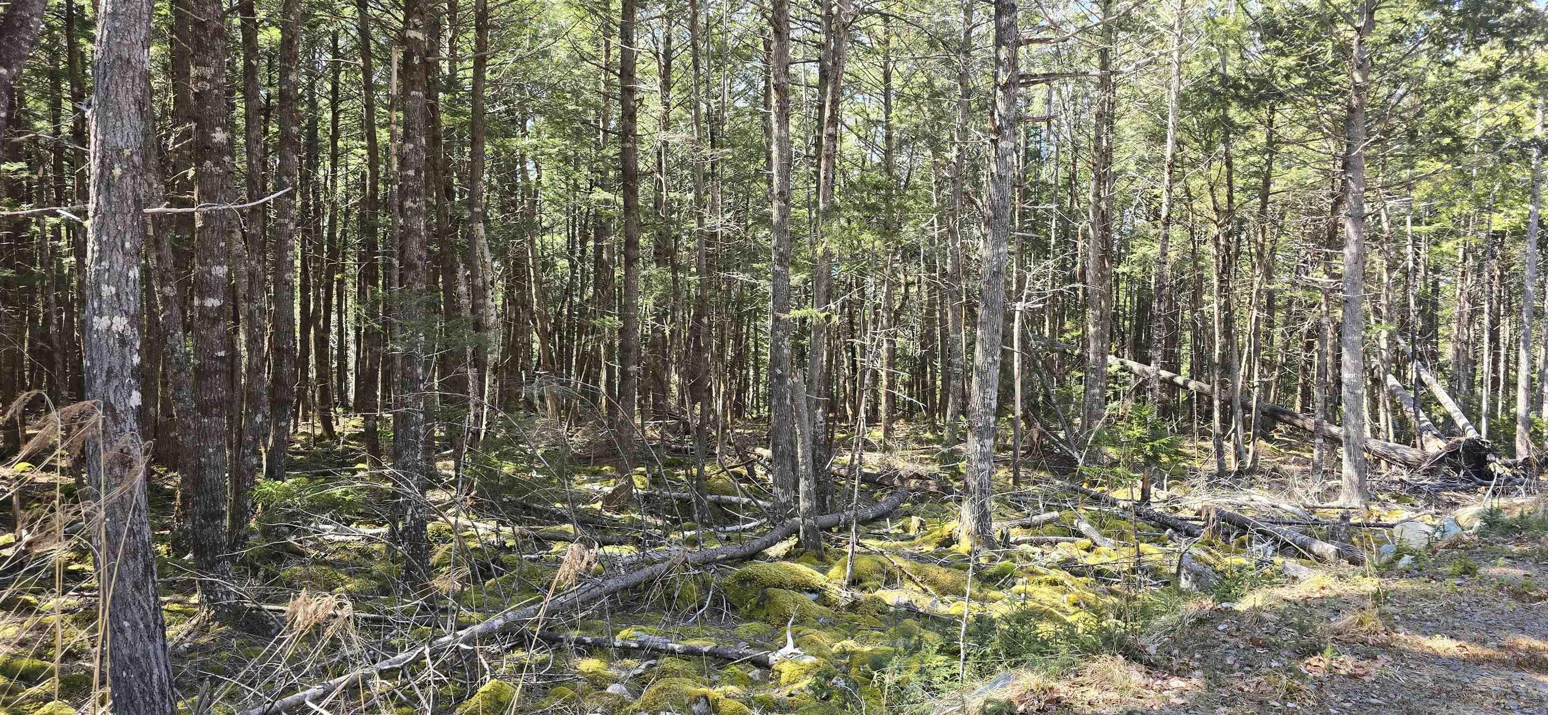 $17,900.00: Lot 3 Beaver Row, Labelle