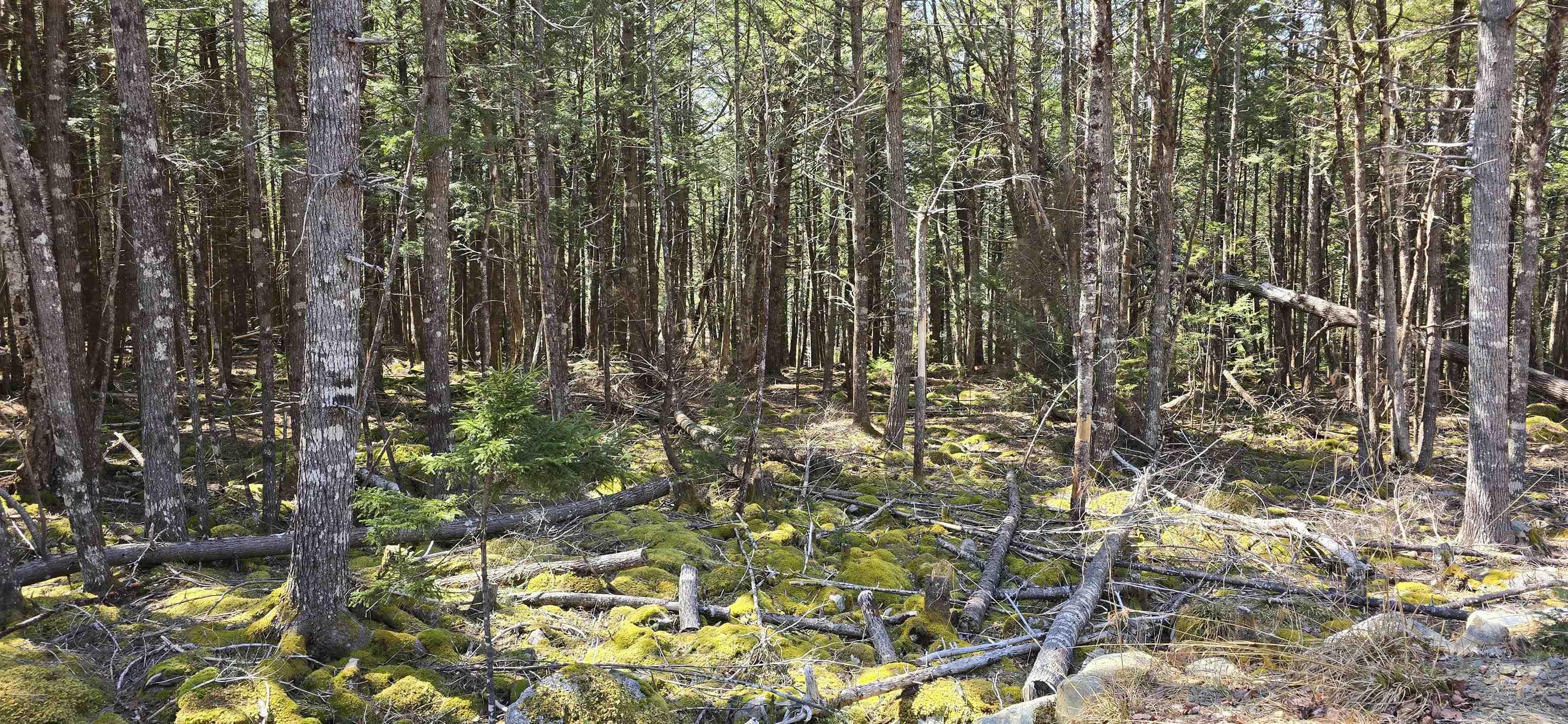 $17,900.00: Lot 3 Beaver Row, Labelle