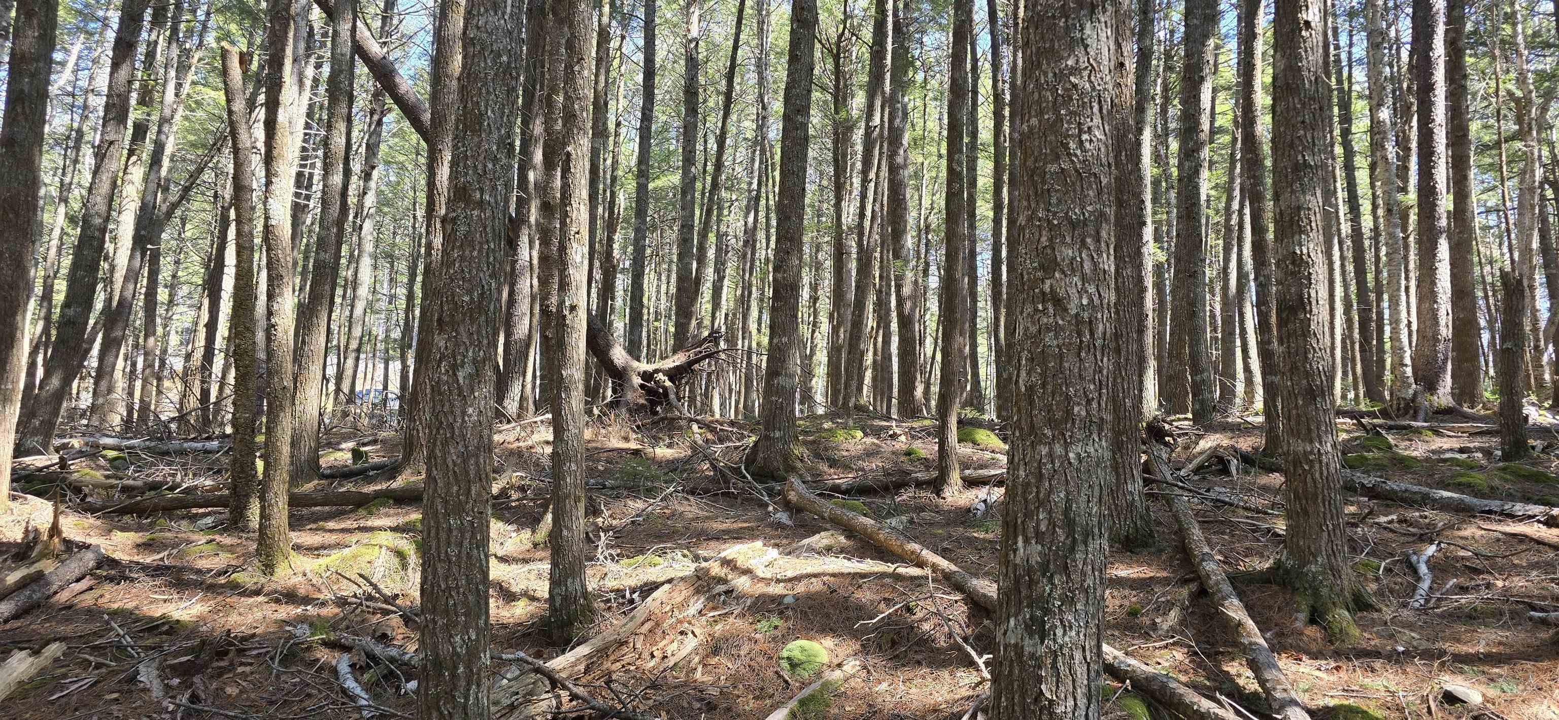 $17,900.00: Lot 3 Beaver Row, Labelle