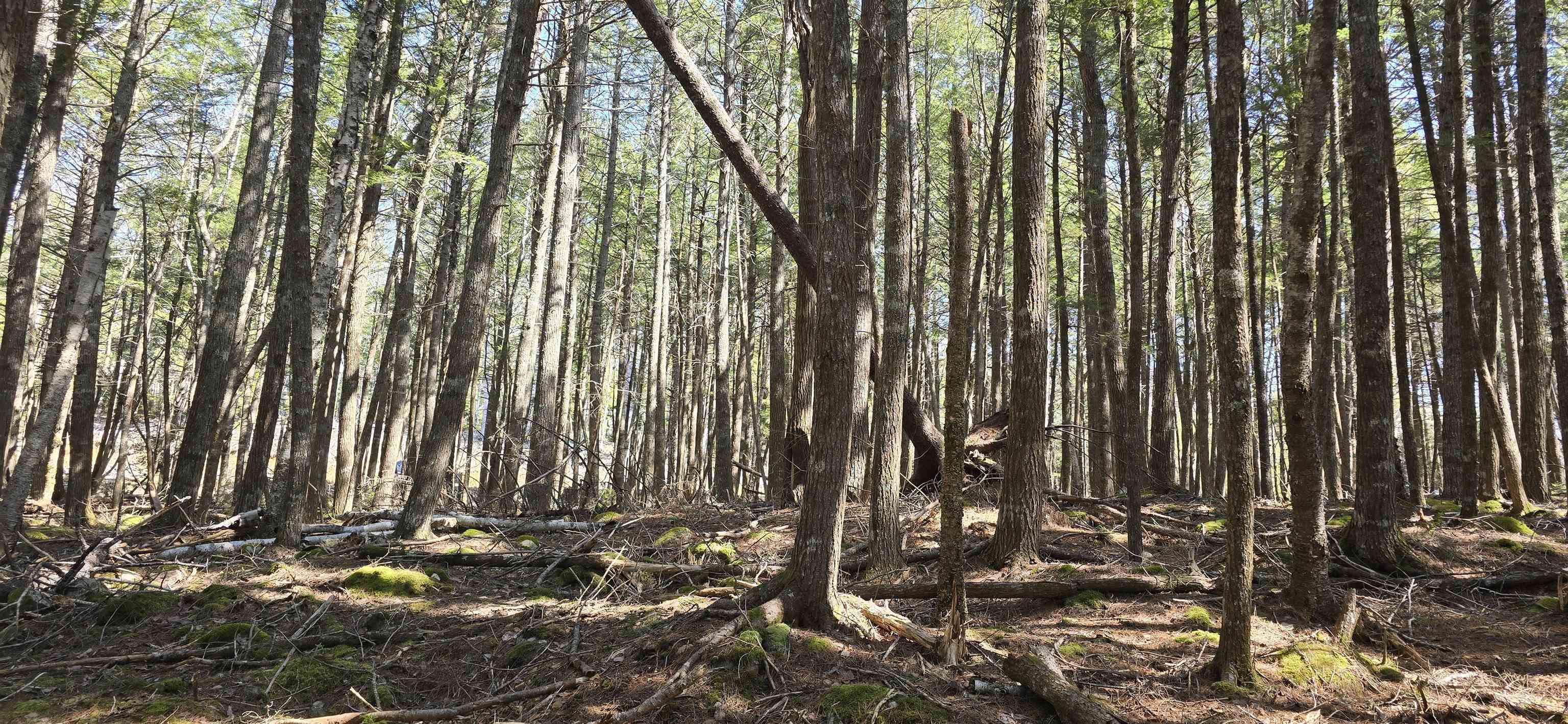 $17,900.00: Lot 3 Beaver Row, Labelle