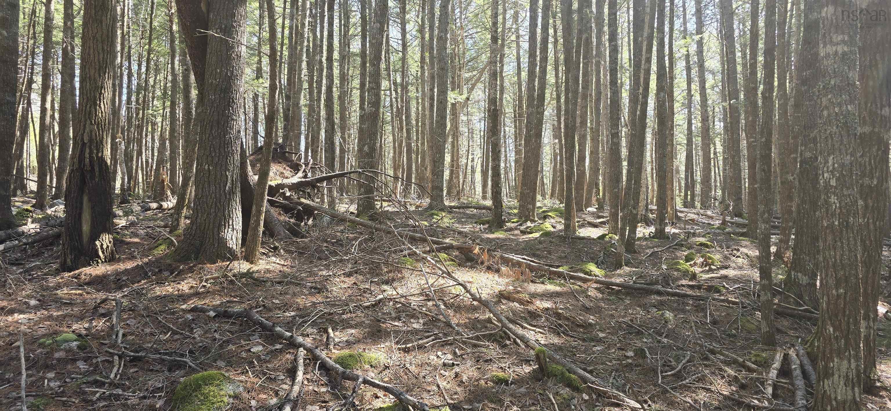 $17,900.00: Lot 3 Beaver Row, Labelle