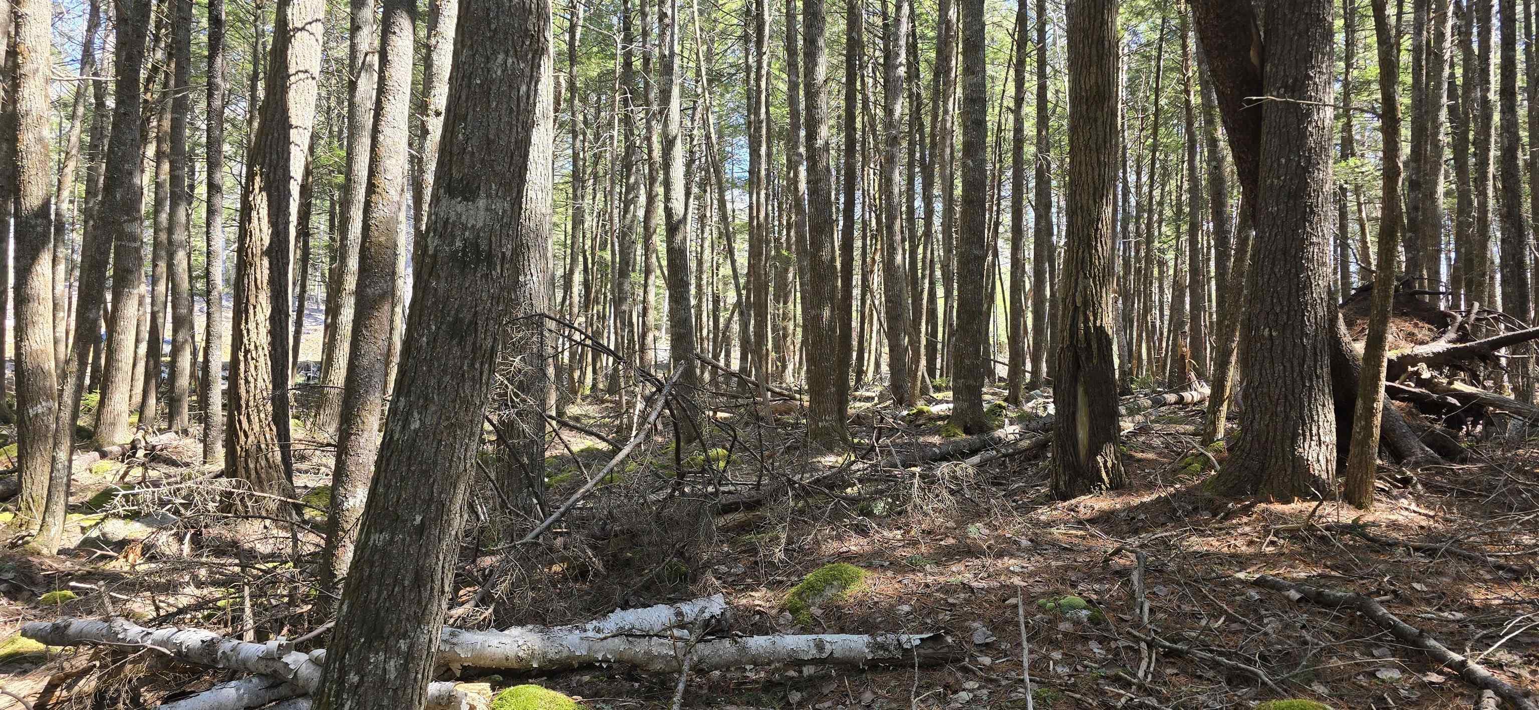 $17,900.00: Lot 3 Beaver Row, Labelle