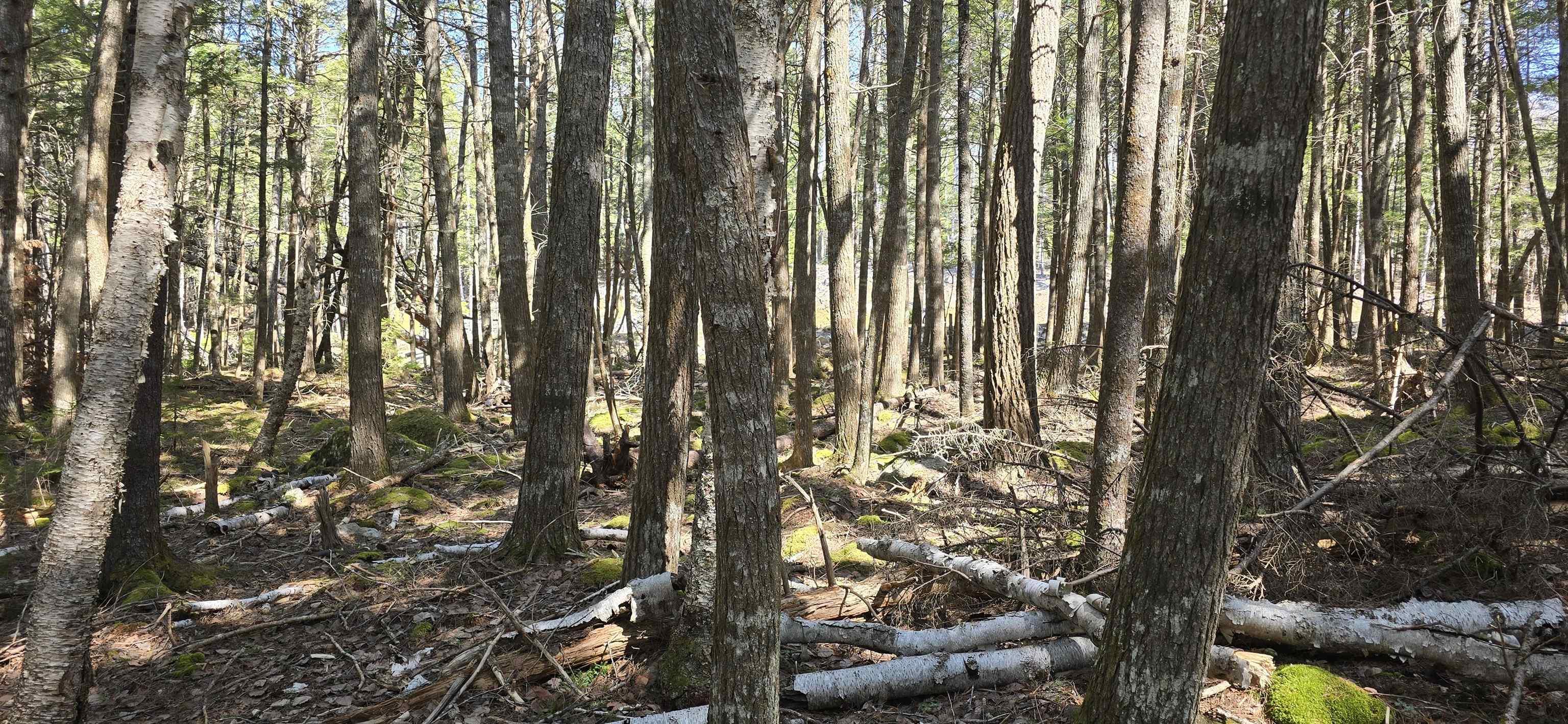 $17,900.00: Lot 3 Beaver Row, Labelle