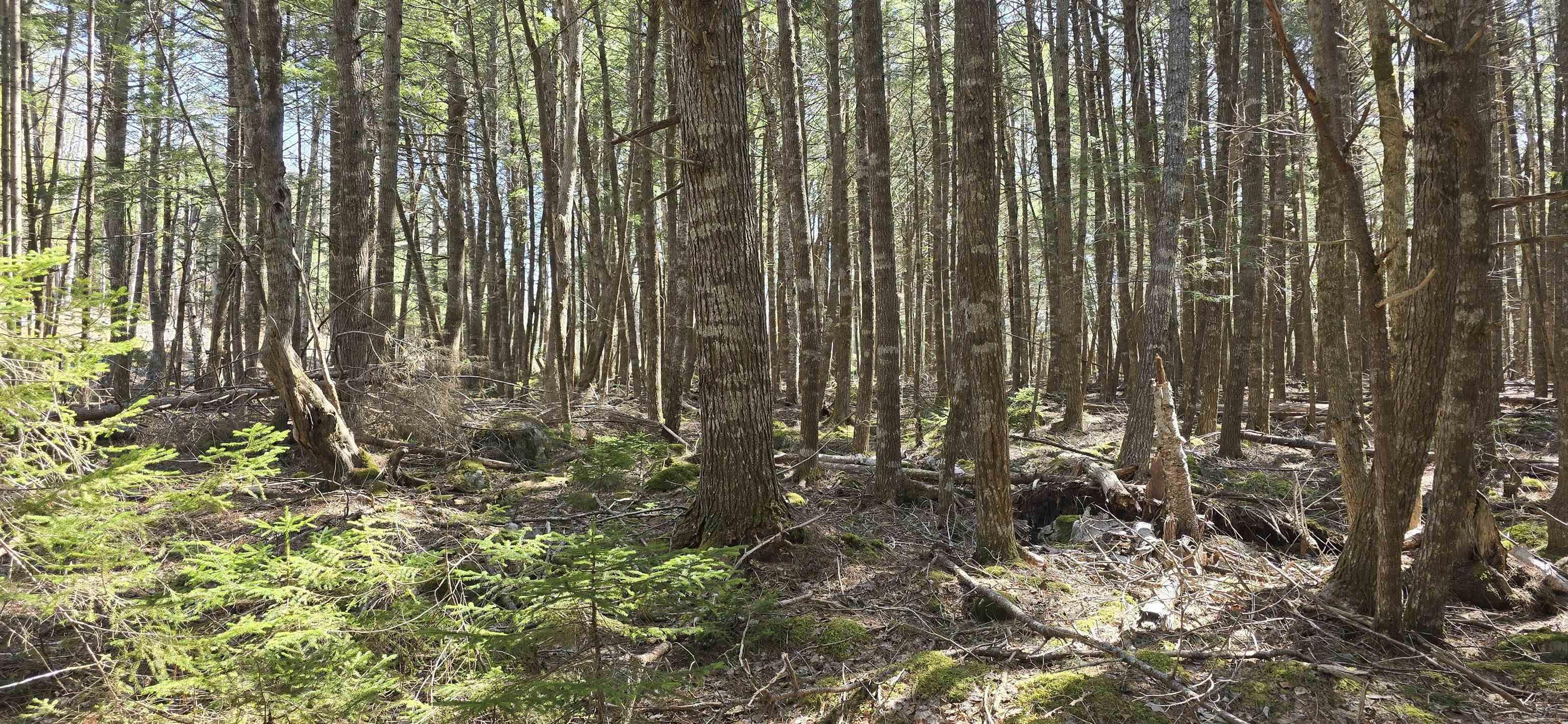 $17,900.00: Lot 3 Beaver Row, Labelle
