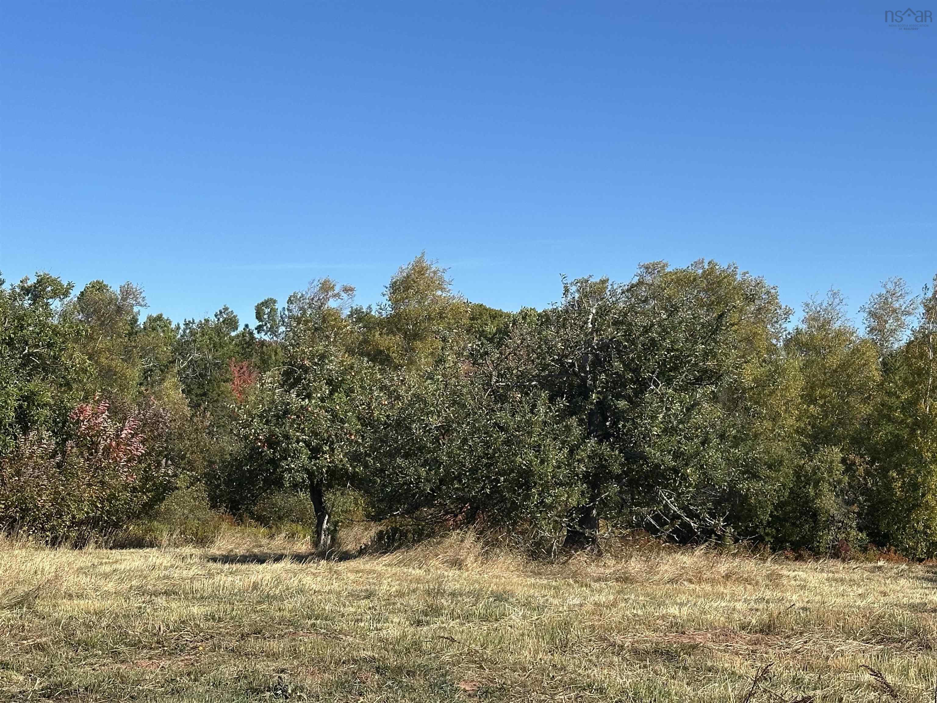 $229,000.00: 3229 Malagash Road, Malagash Centre