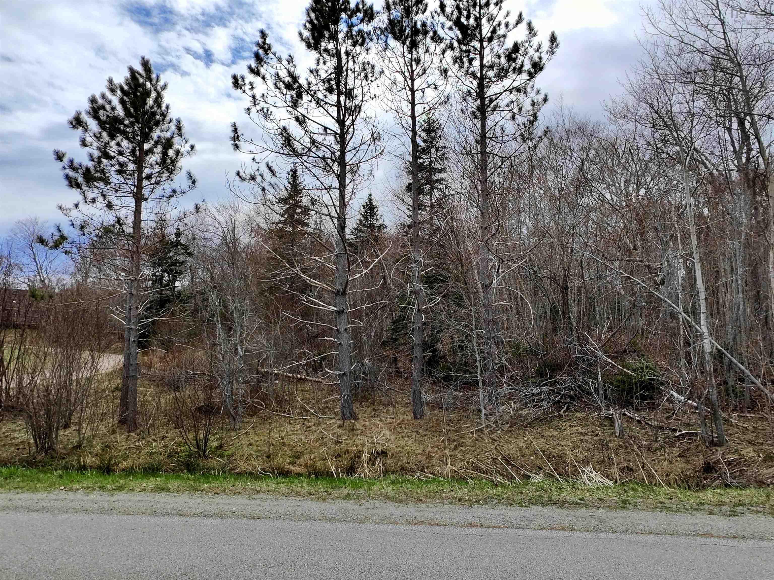 $34,000.00: Lot BM-1 Marble Mountain Road, West Bay Marshes