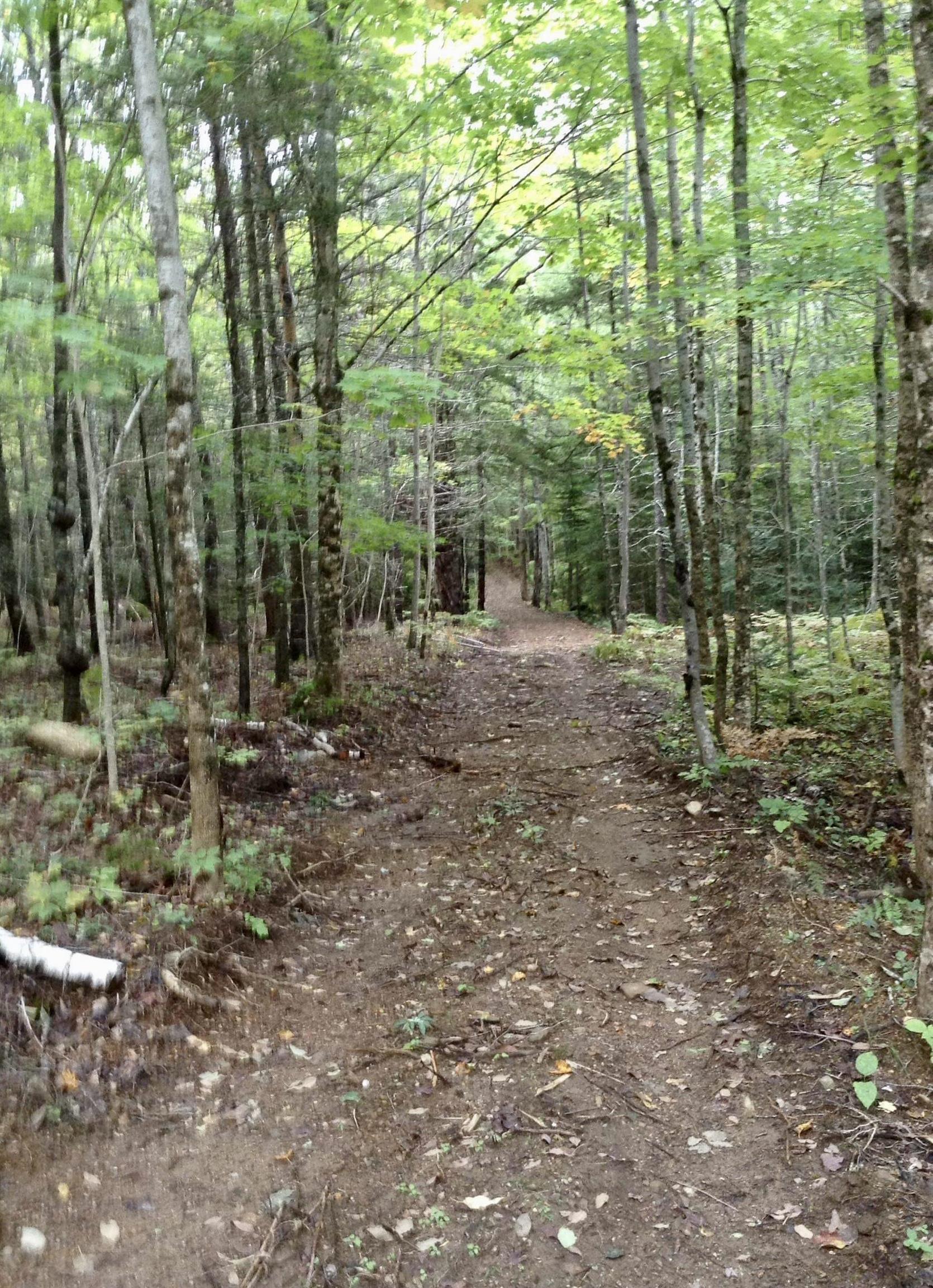 $539,900.00: 255 Virginia Road, Virginia East