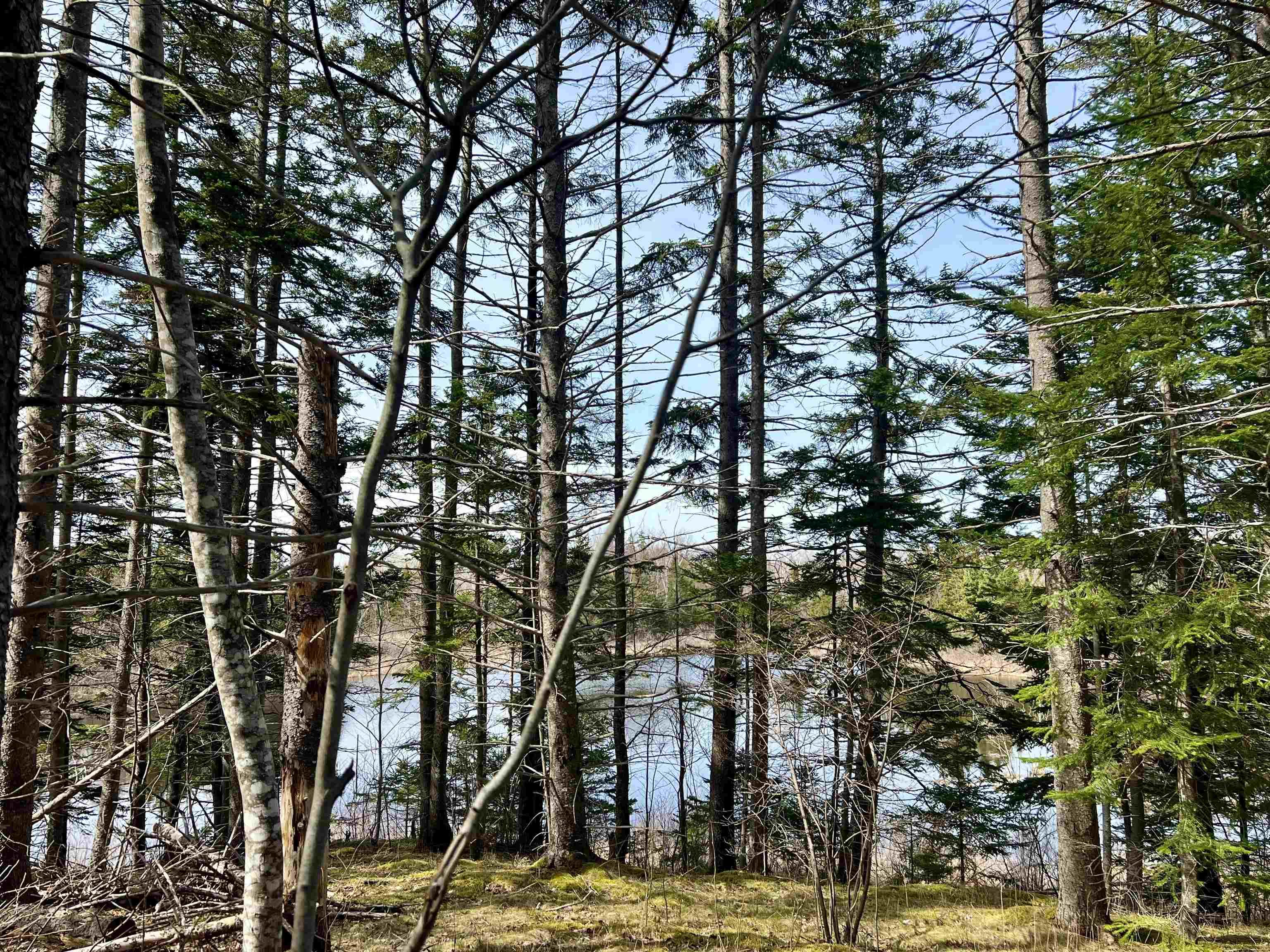 $379,444.00: Old Mulgrave Road, Monastery
