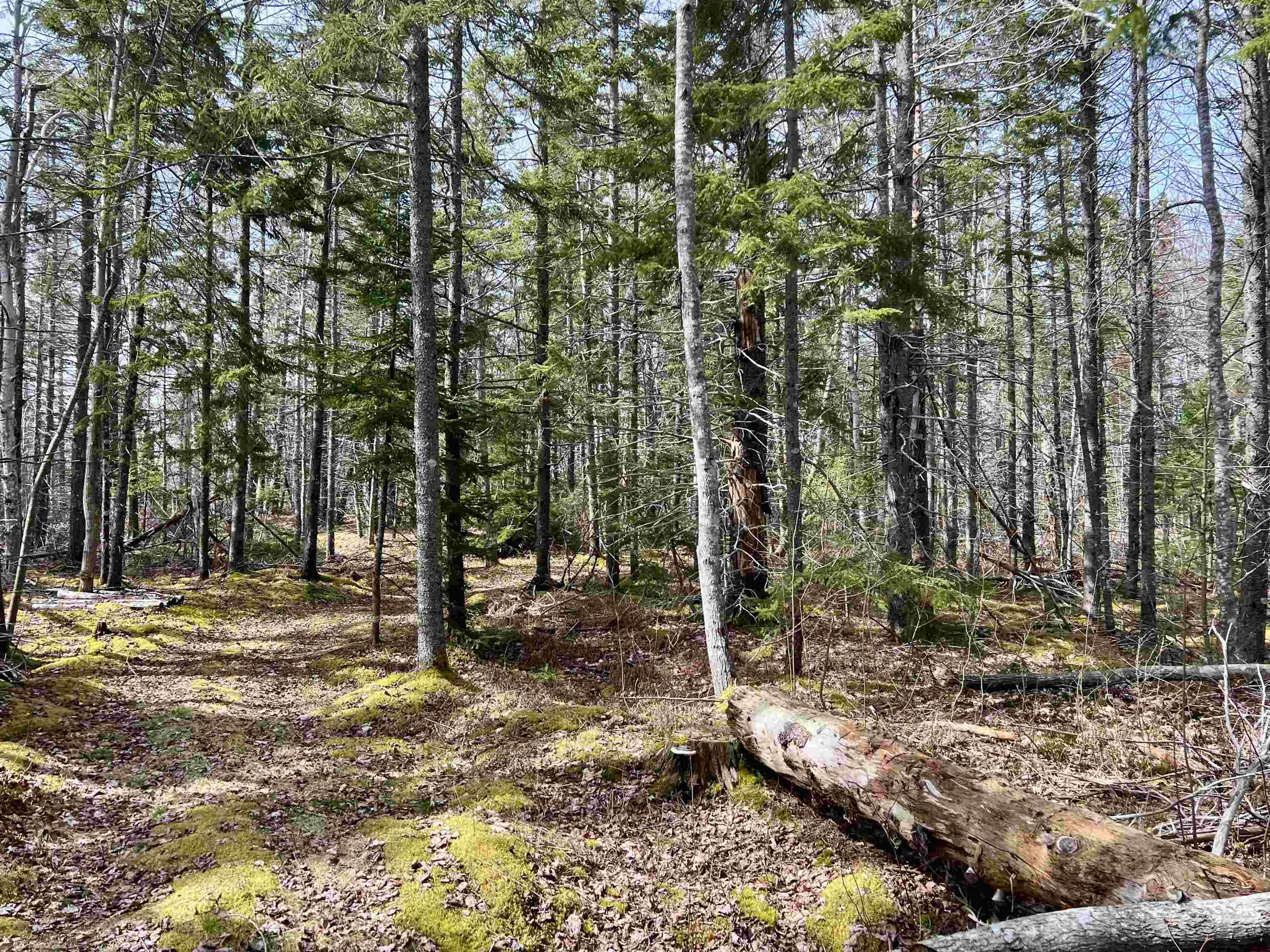 $379,444.00: Old Mulgrave Road, Monastery