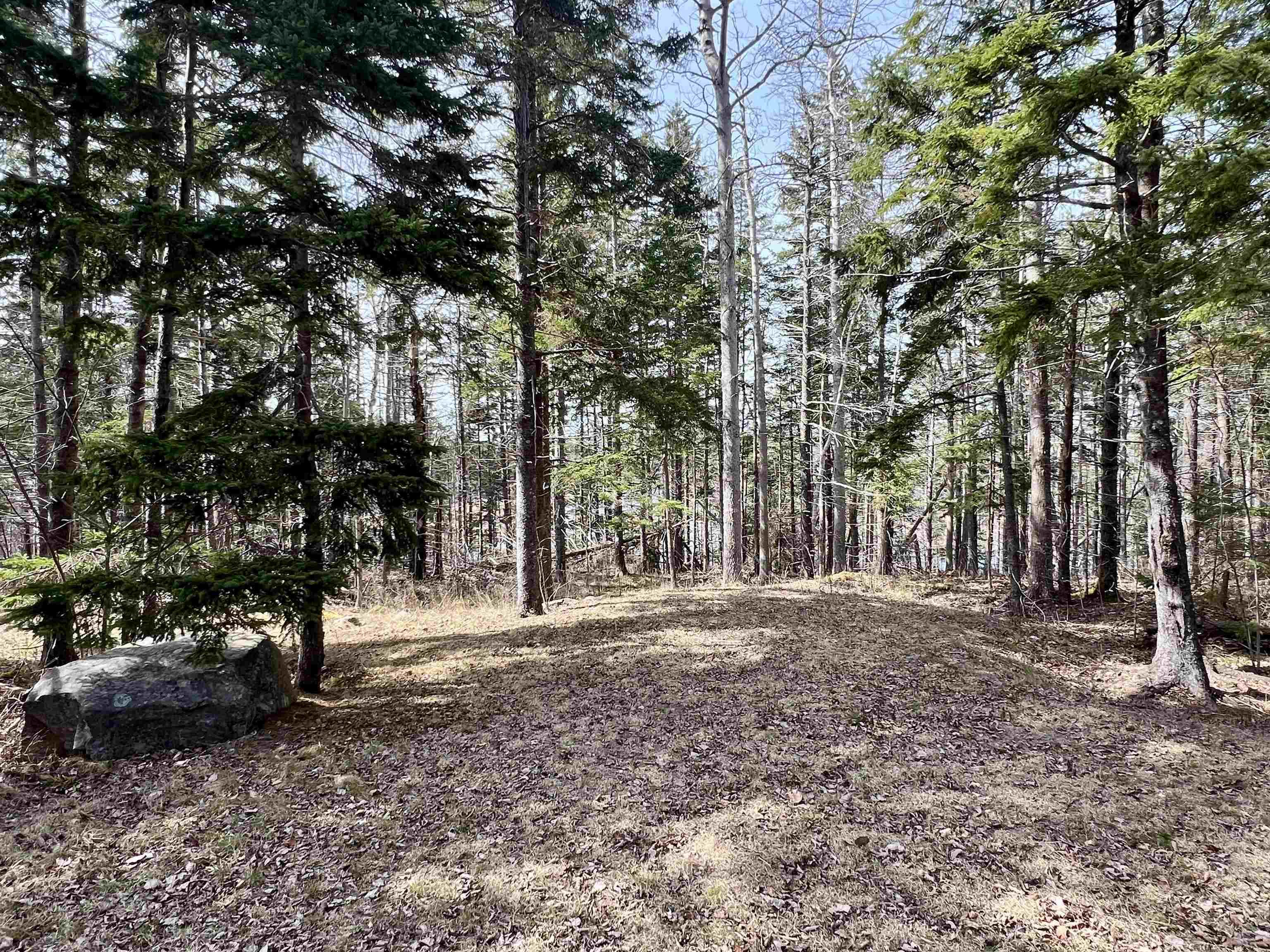 $379,444.00: Old Mulgrave Road, Monastery