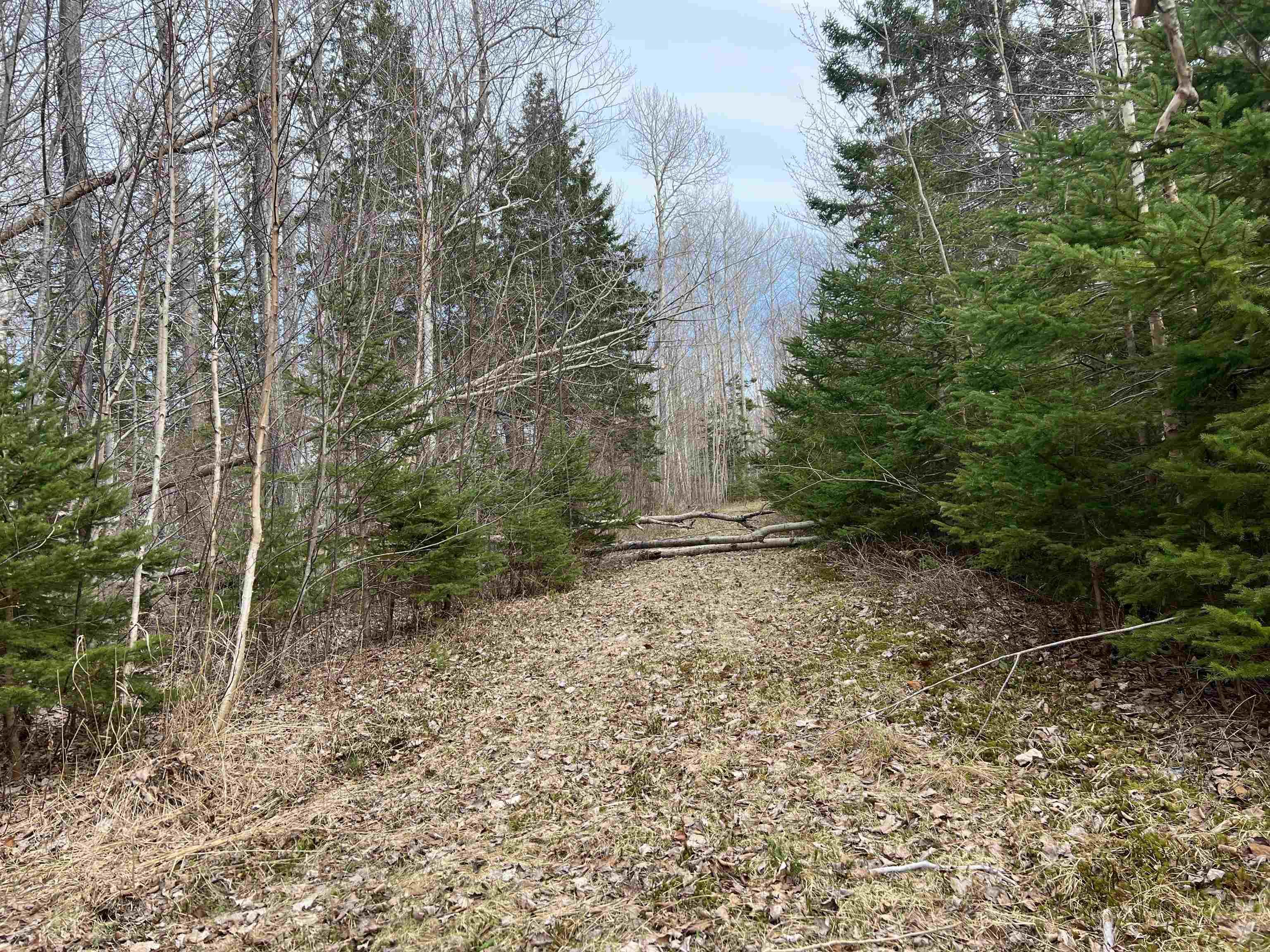 $379,444.00: Old Mulgrave Road, Monastery