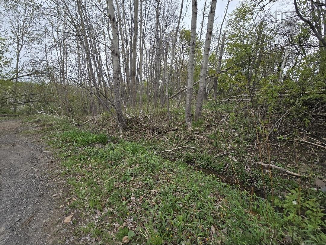 $35,000.00: Double Lot 2 Brook Street, Trenton